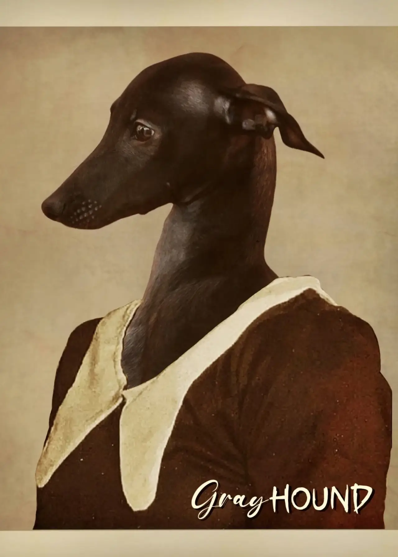 Постер к фильму "Gray Hound"