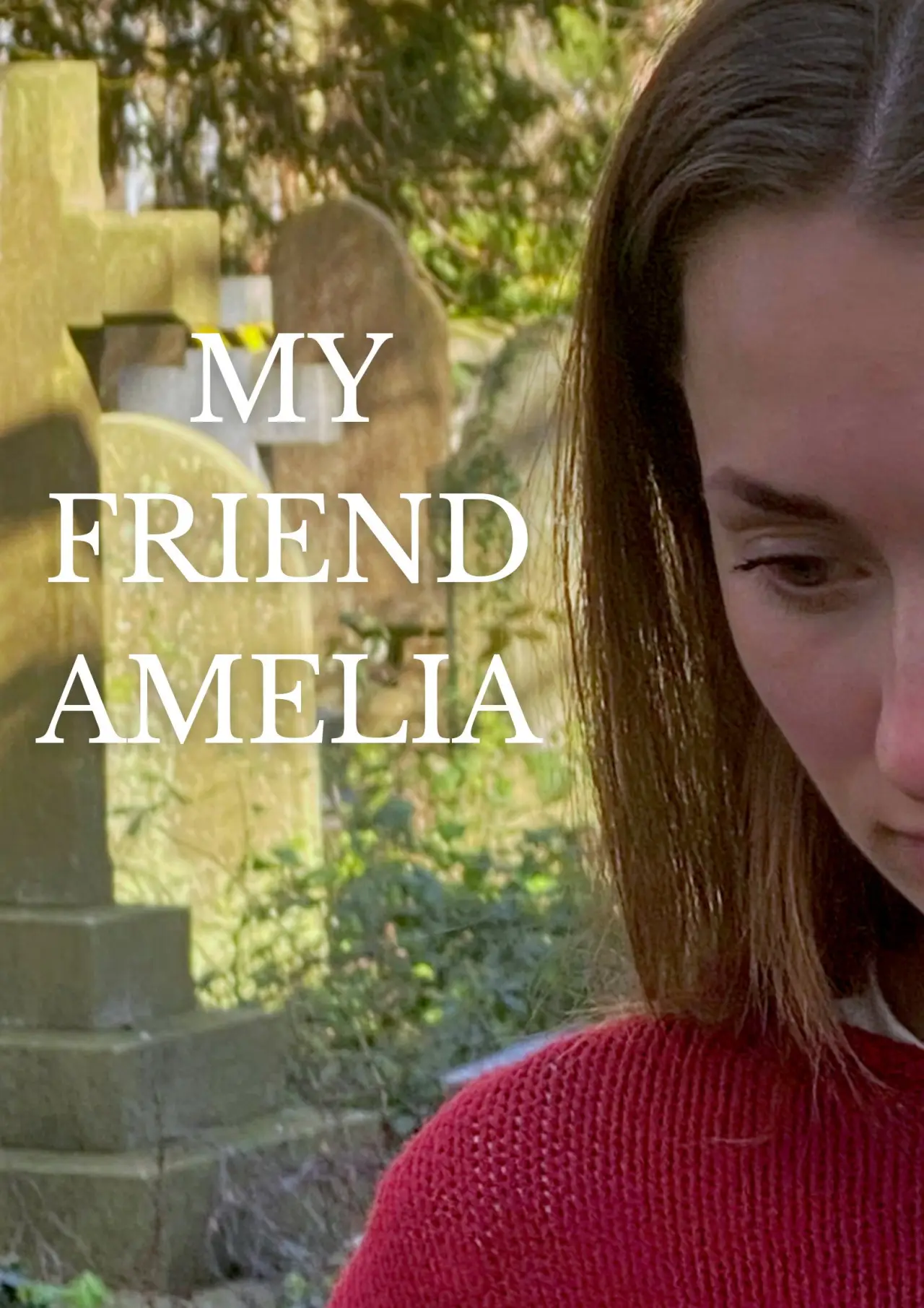 Постер к фильму "My Friend Amelia"