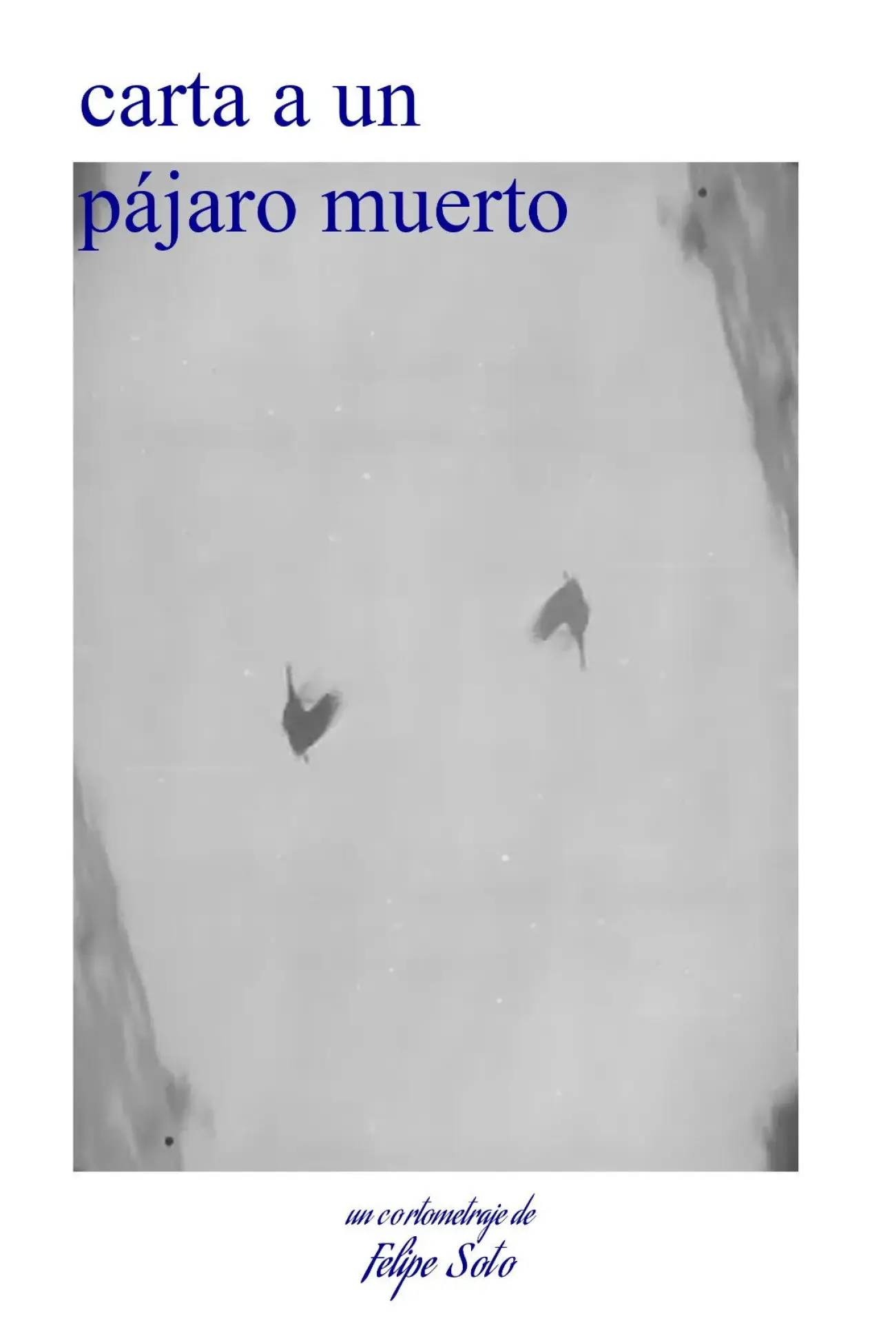 Постер к фильму "carta a un pájaro muerto"