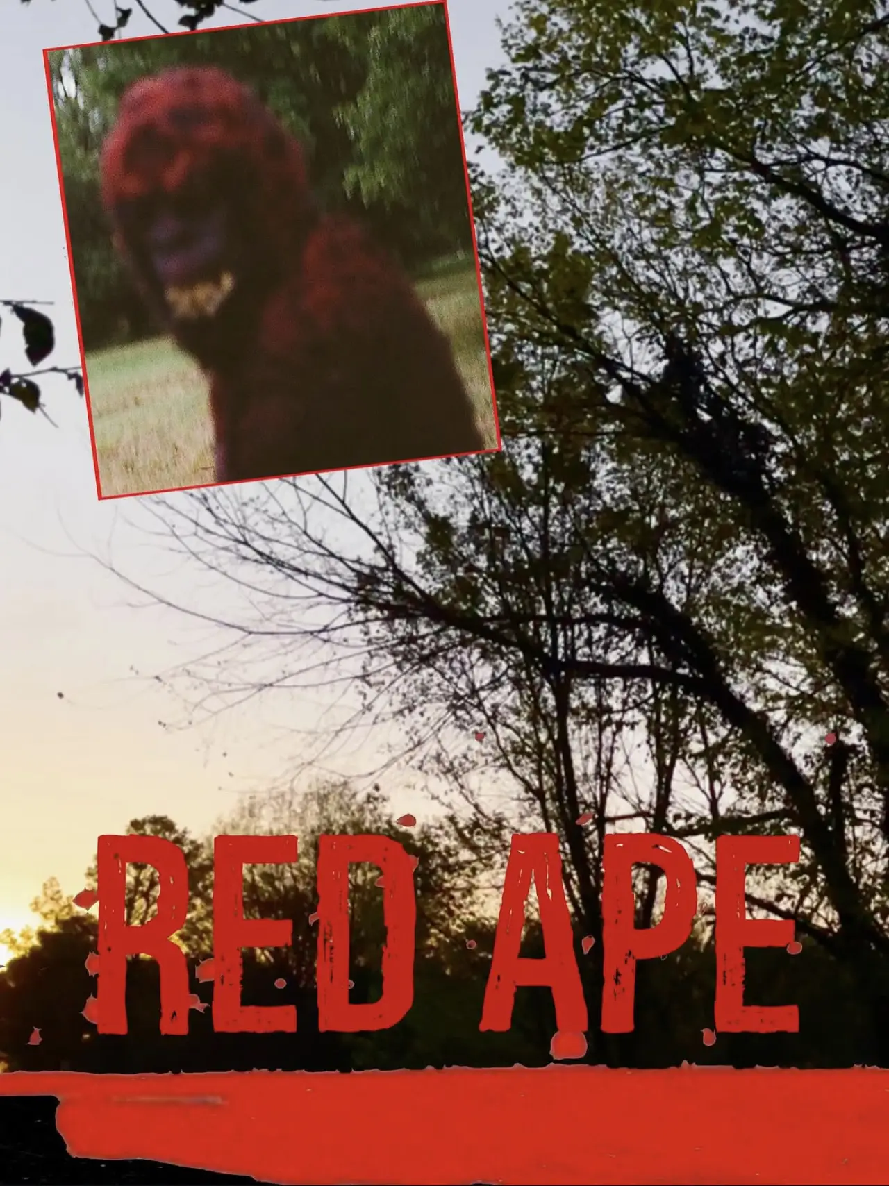Постер к фильму "Red Ape"
