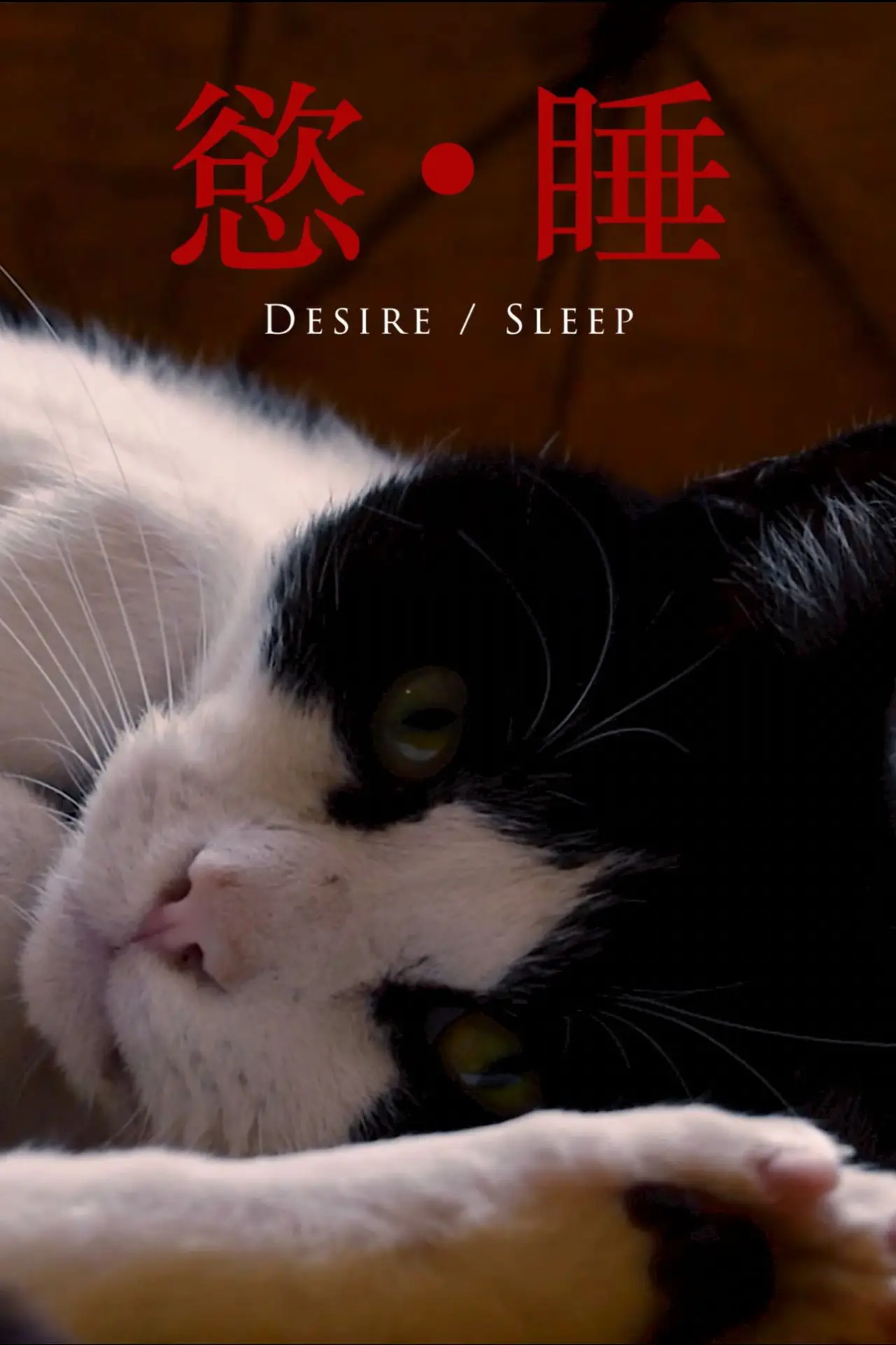 Постер к фильму "Desire/Sleep"