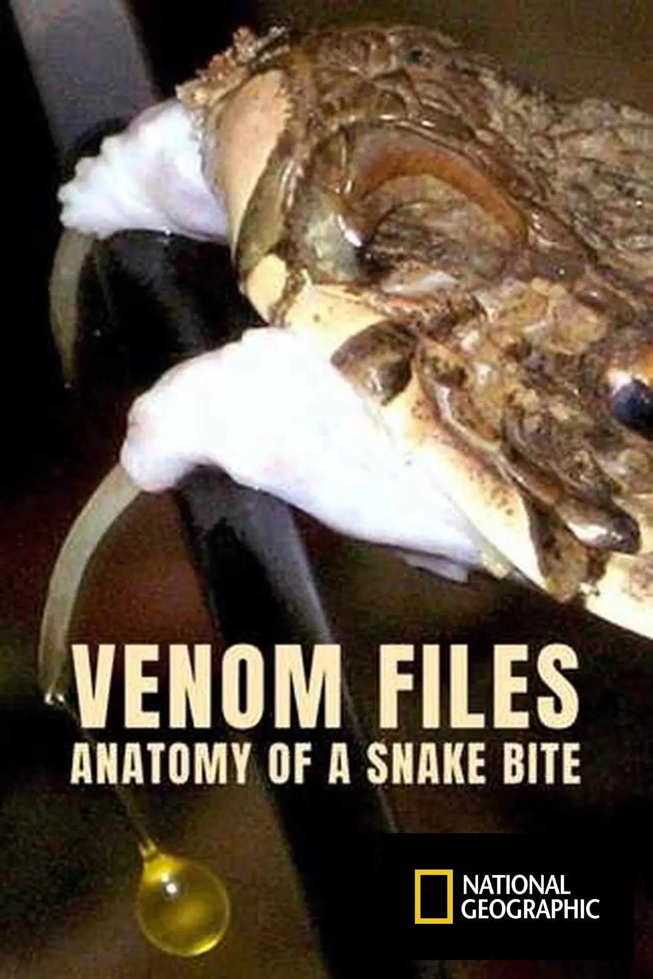 Постер к фильму "Venom File - Anatomy of a snake bite"