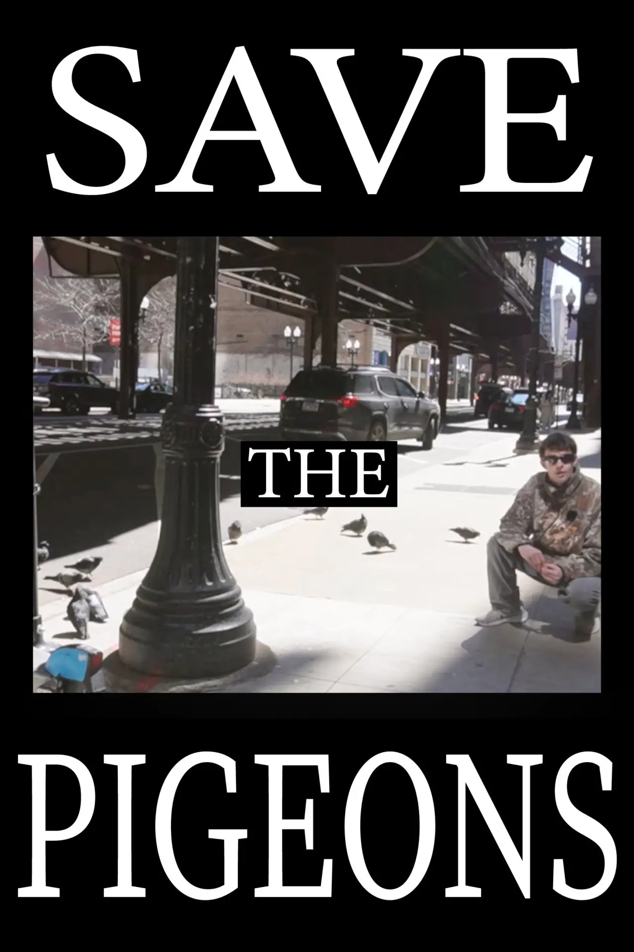 Постер к фильму "Save the Pigeons"