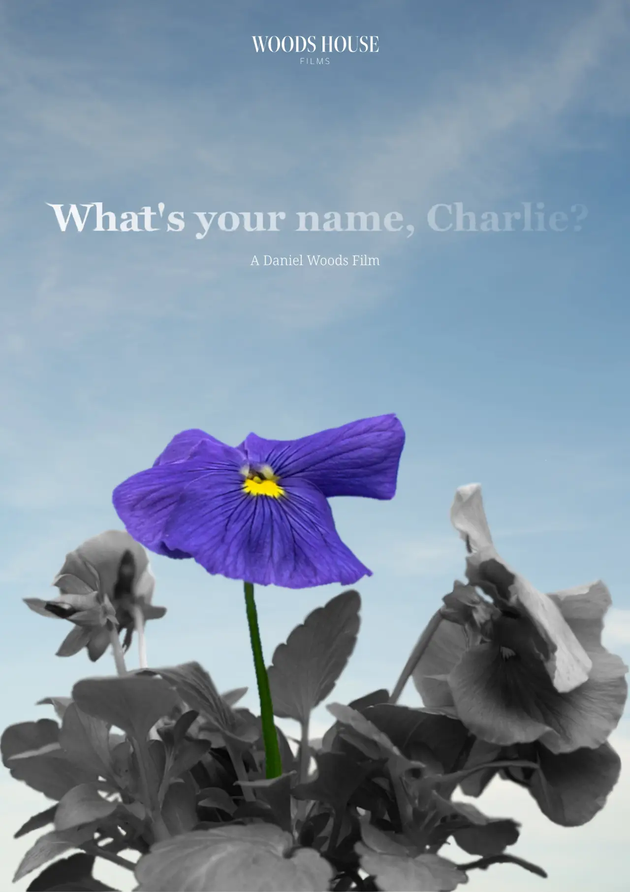 Постер к фильму "What