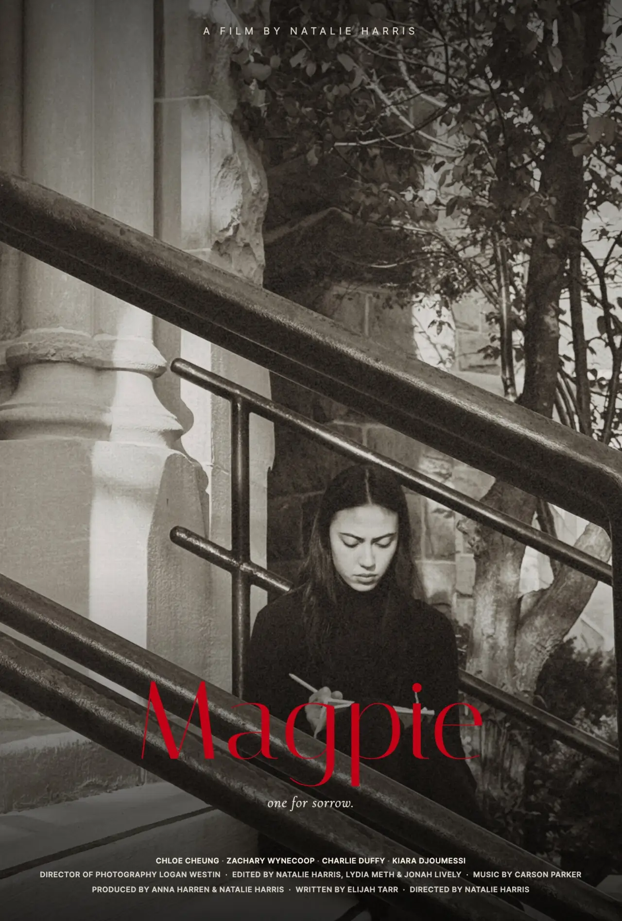 Постер к фильму "Magpie"