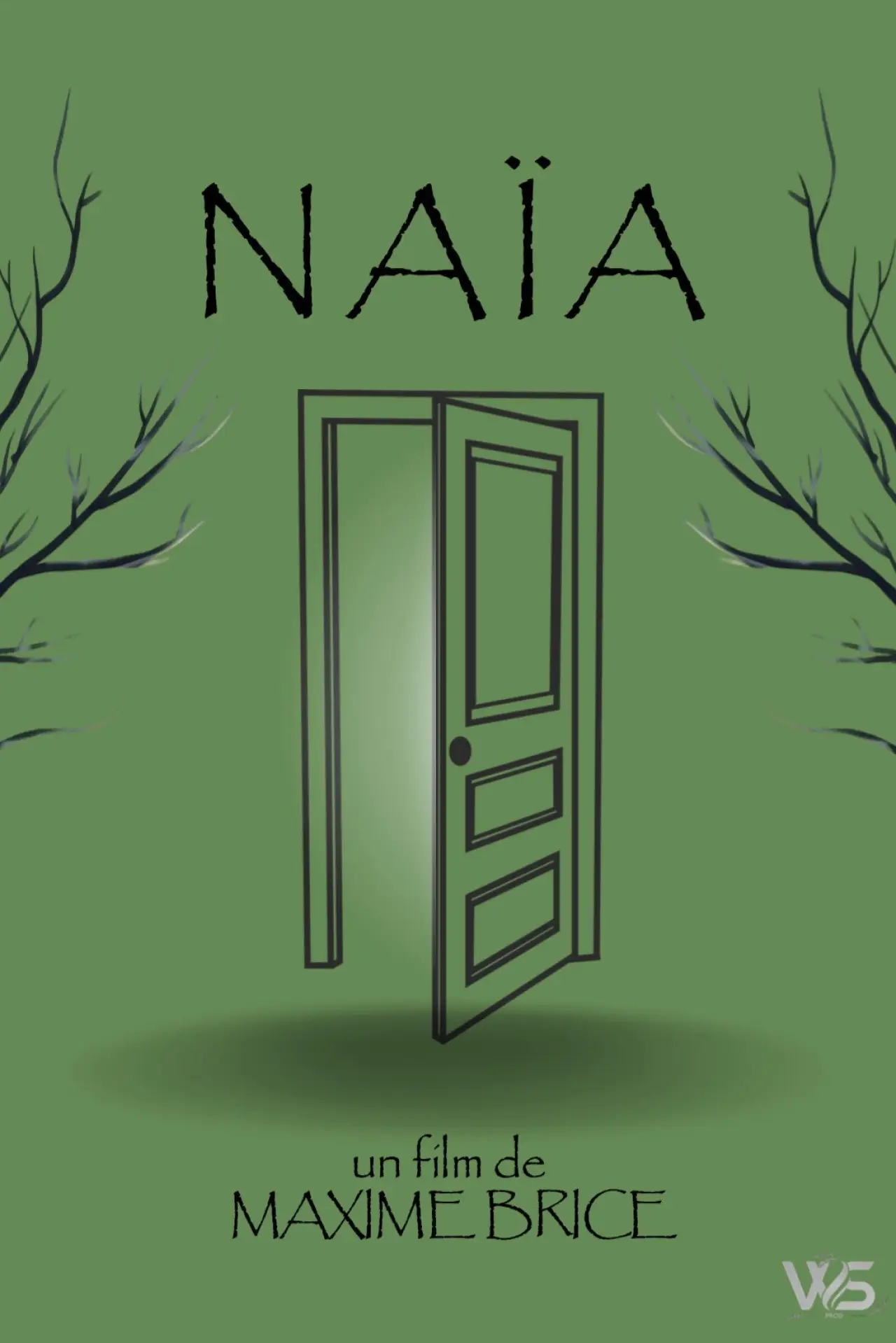 Постер к фильму "NAÏA"