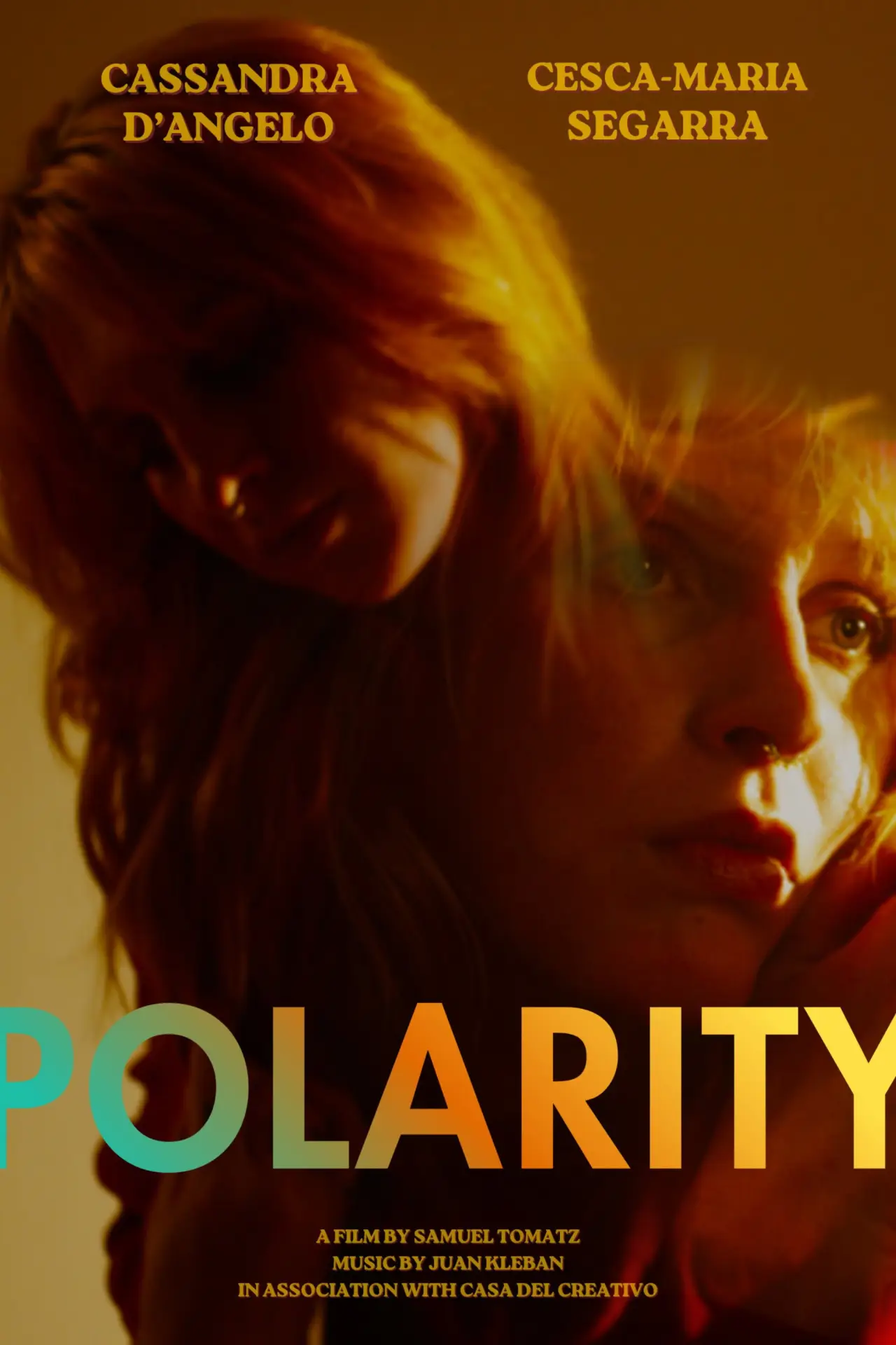Постер к фильму "Polarity"