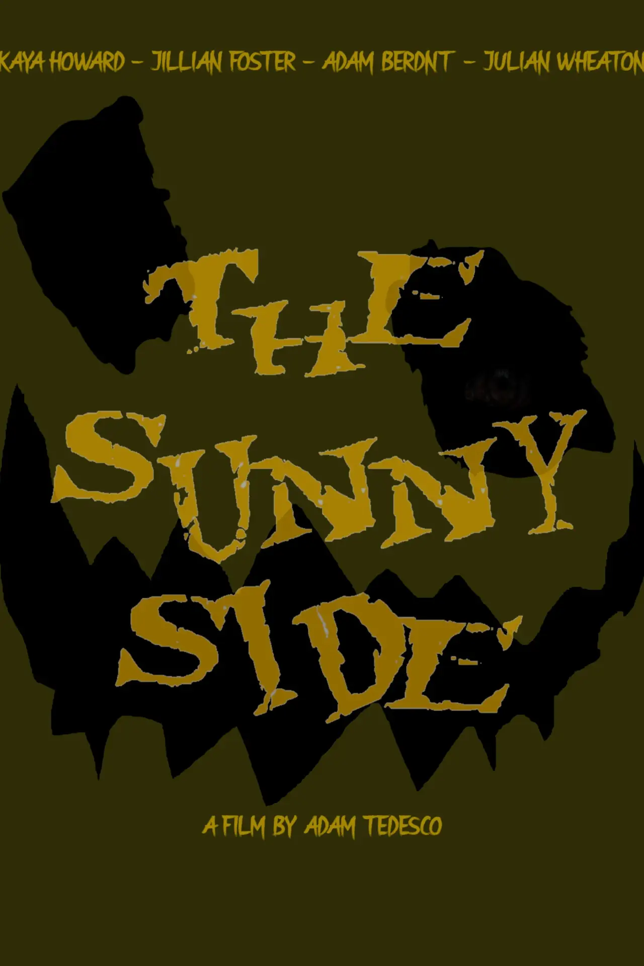 Постер к фильму "The Sunny Side"