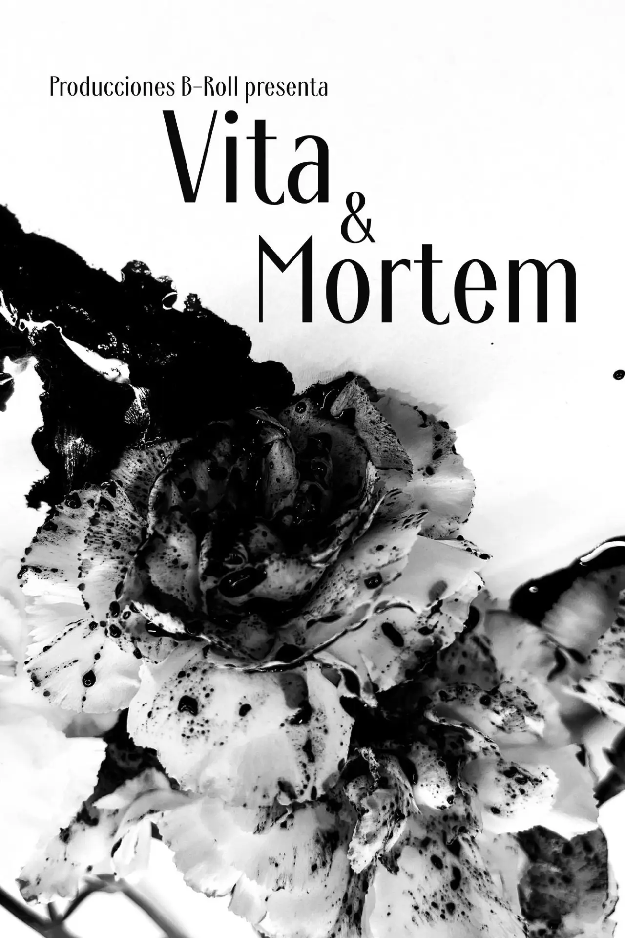 Постер к фильму "Vita & Mortem"