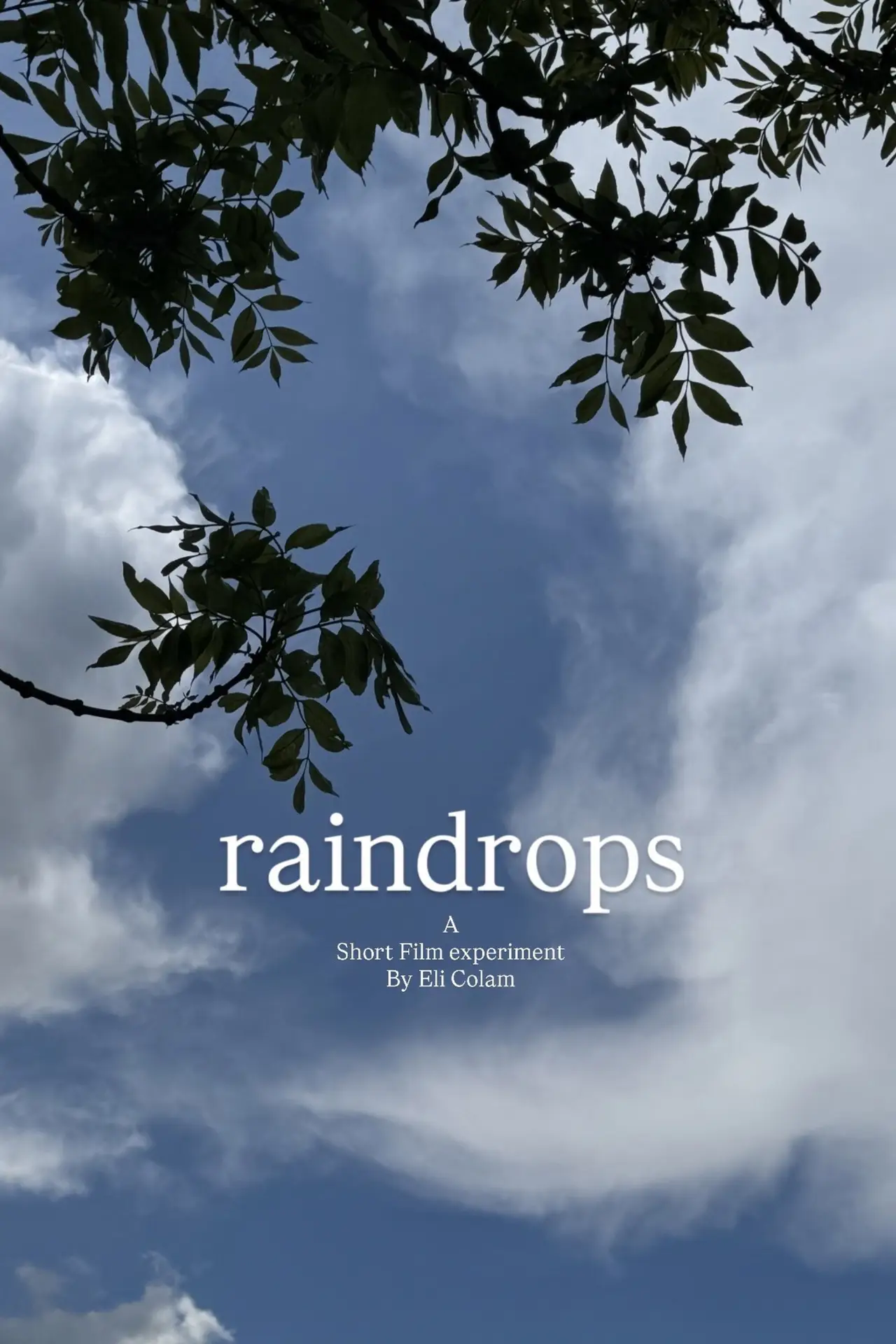 Постер к фильму "raindrops"
