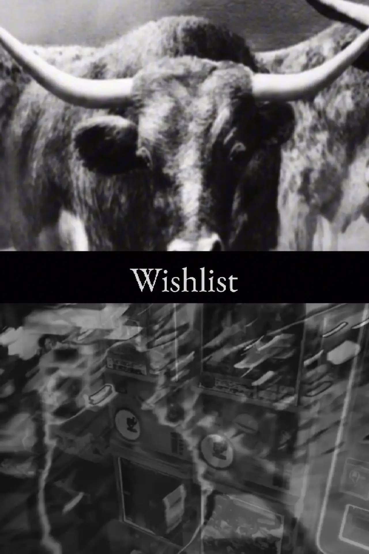 Постер к фильму "Wishlist"