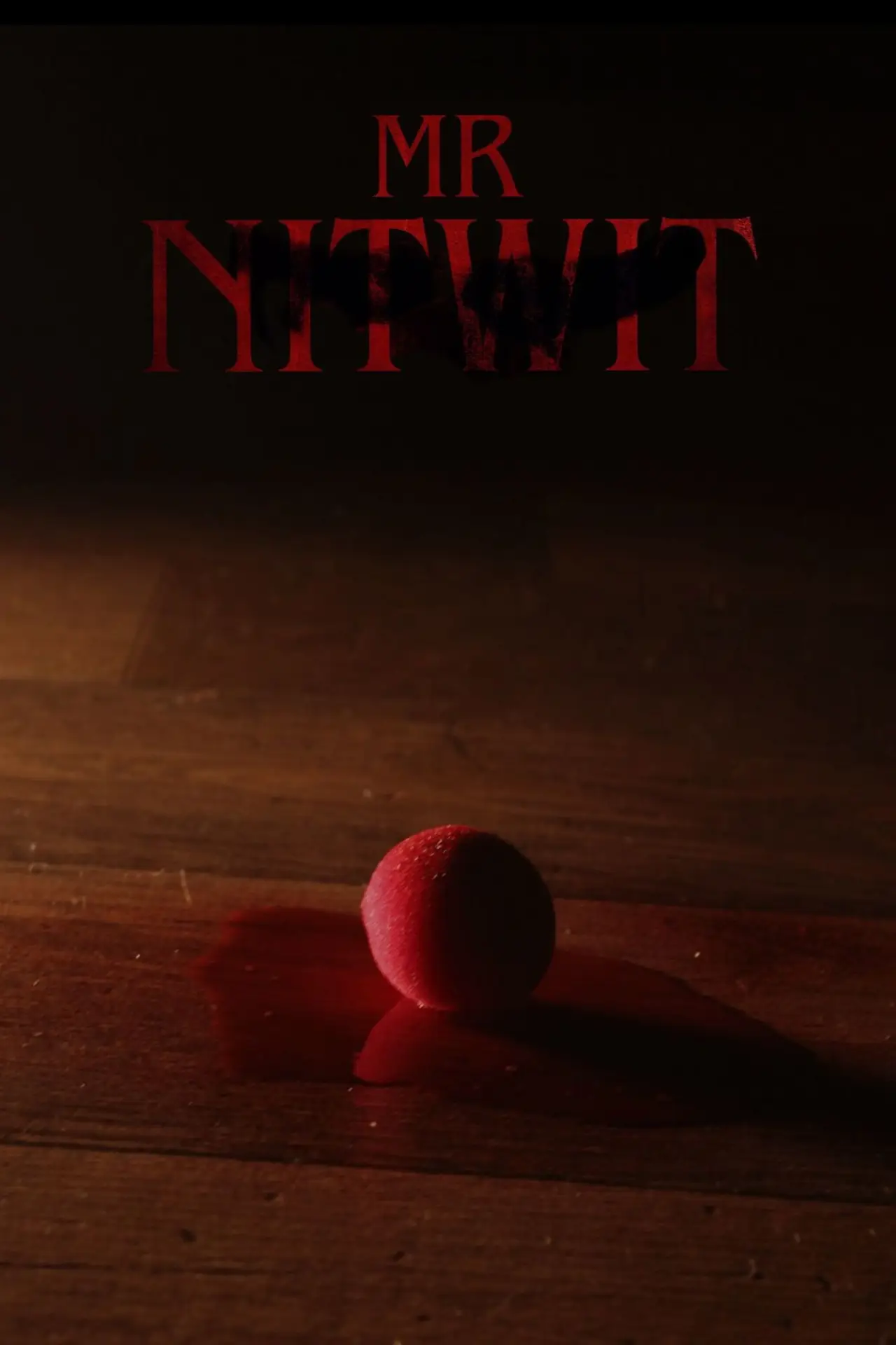 Постер к фильму "Mr Nitwit"
