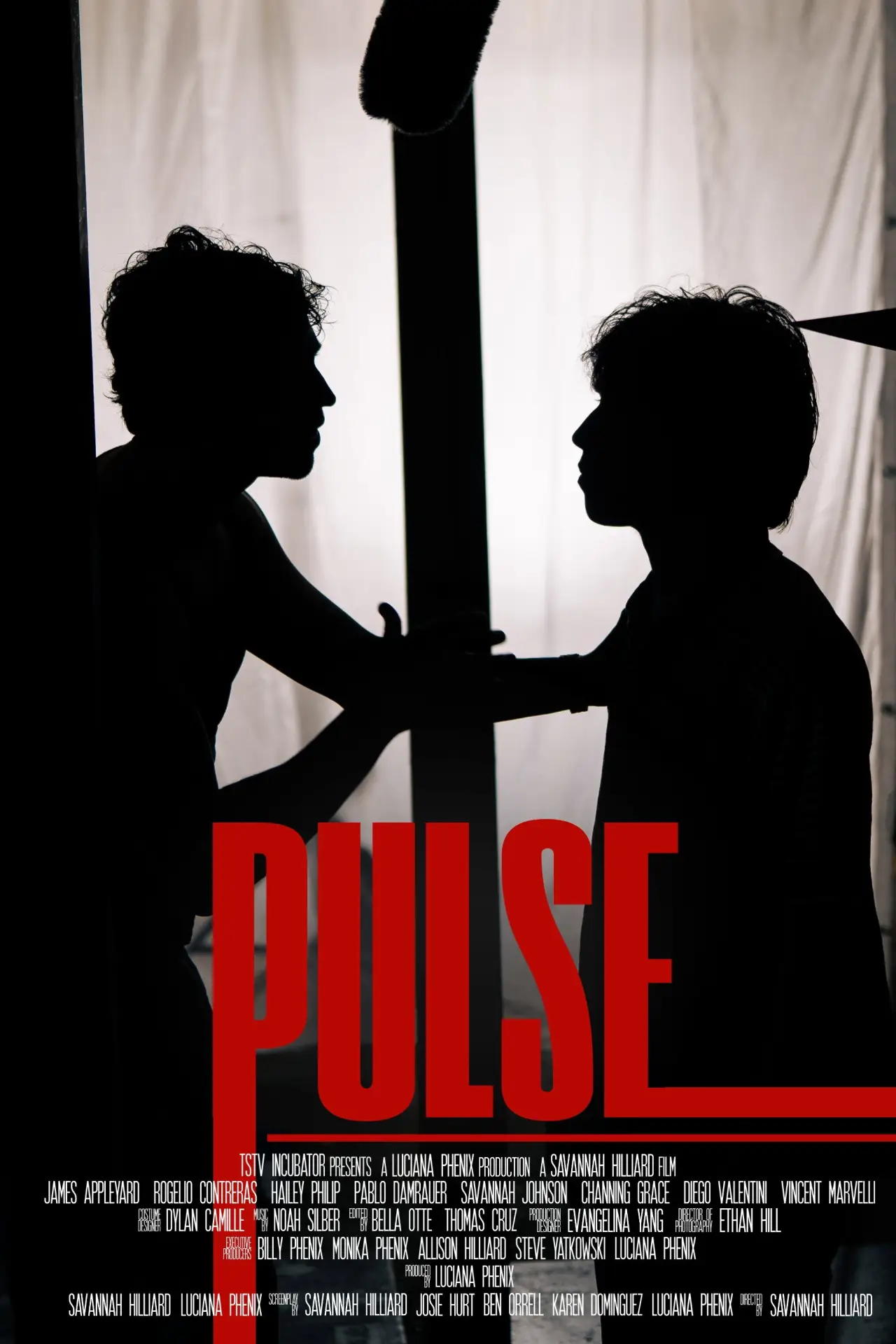 Постер к фильму "PULSE"