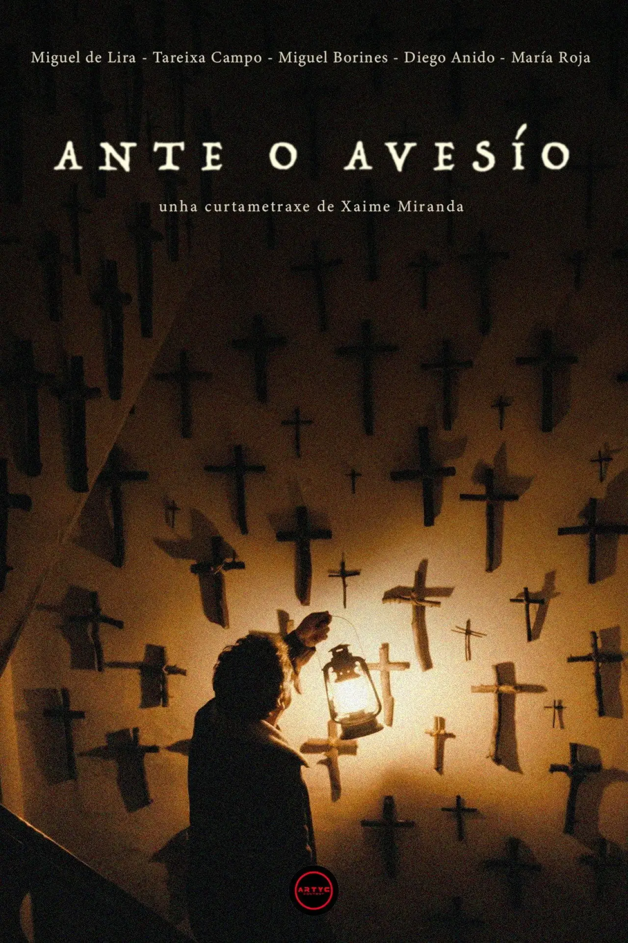 Постер к фильму "Ante o Avesío"