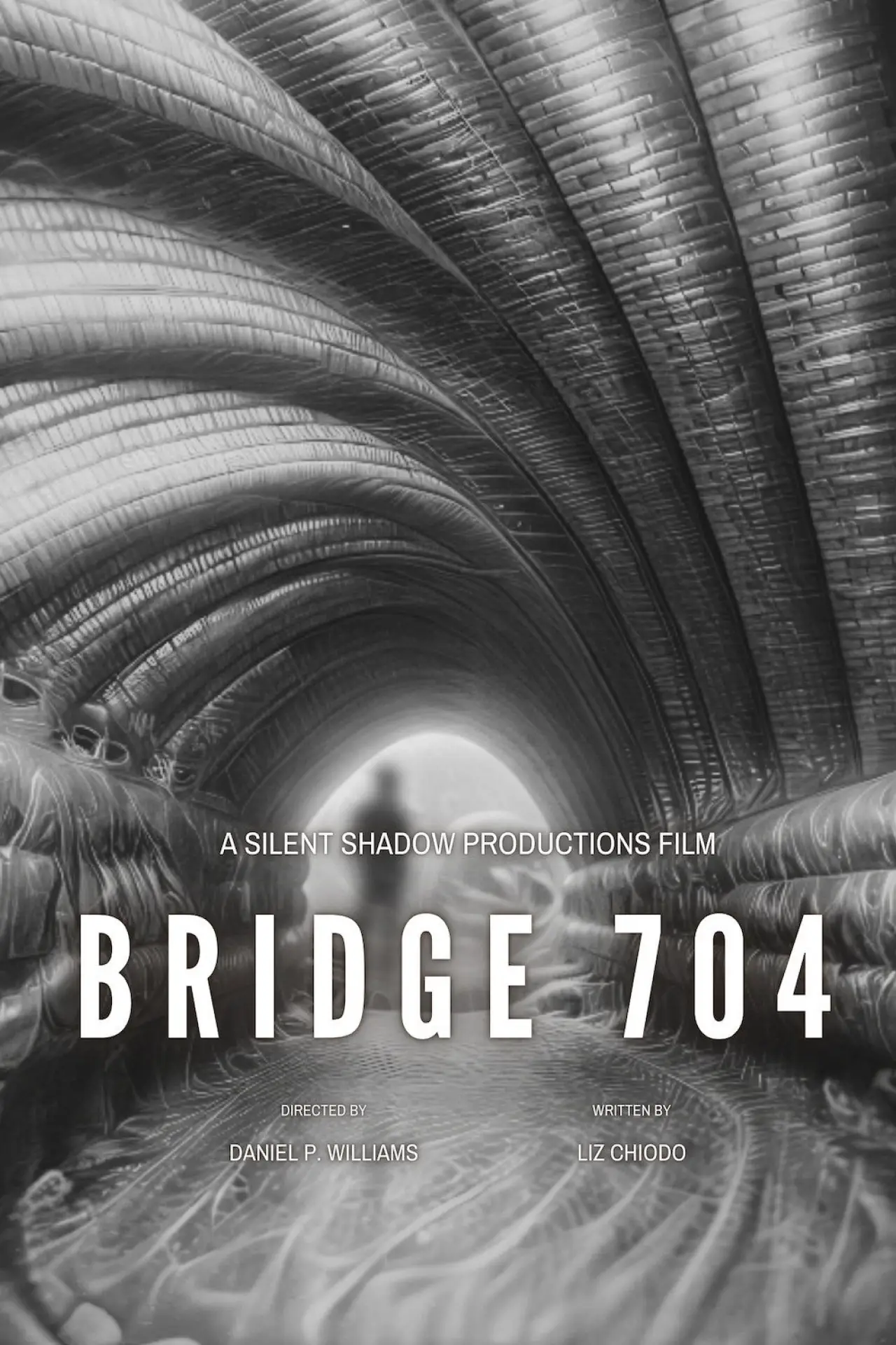 Постер к фильму "Bridge 704"