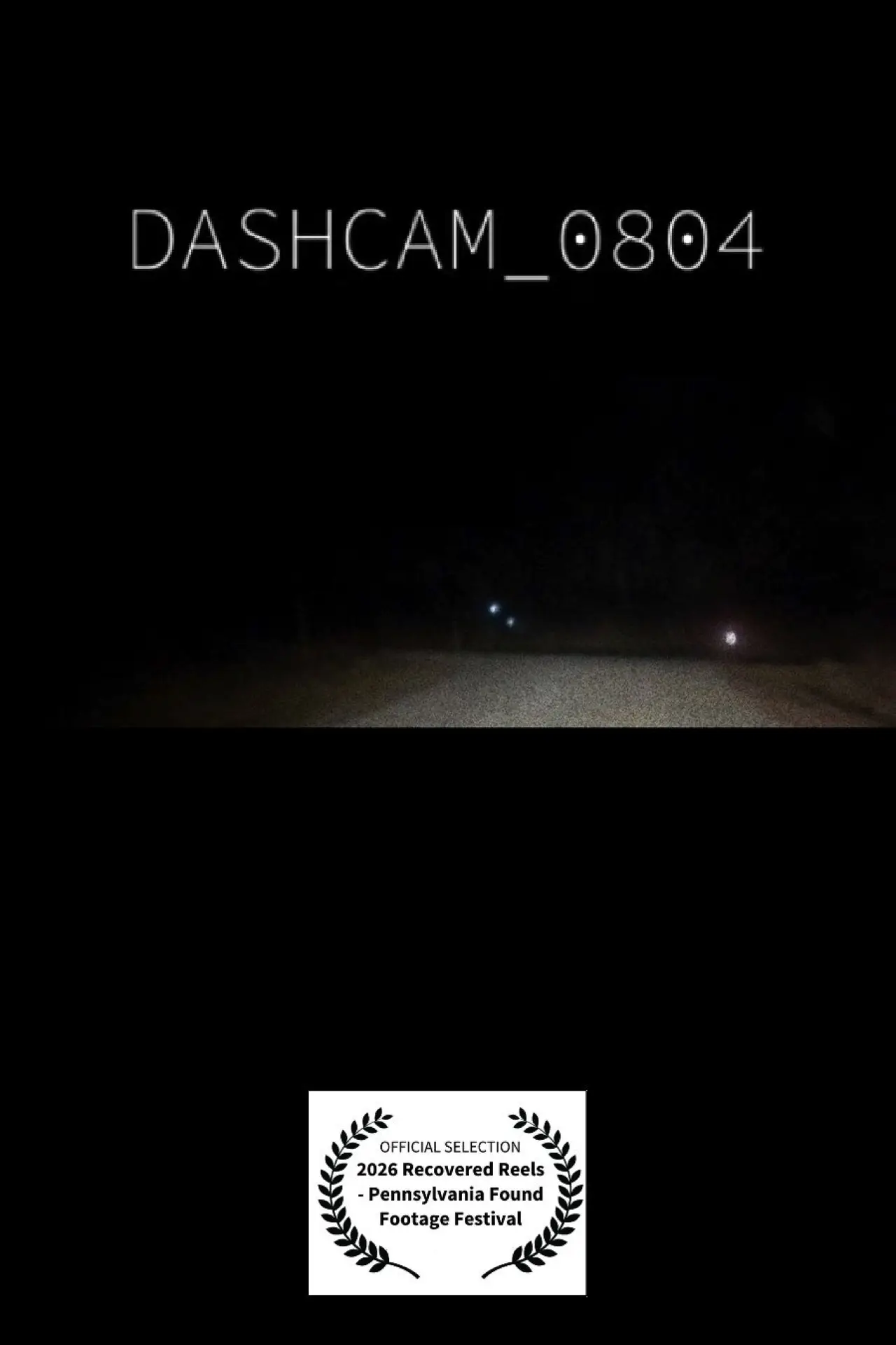 Постер к фильму "dashcam_0804.mp4"