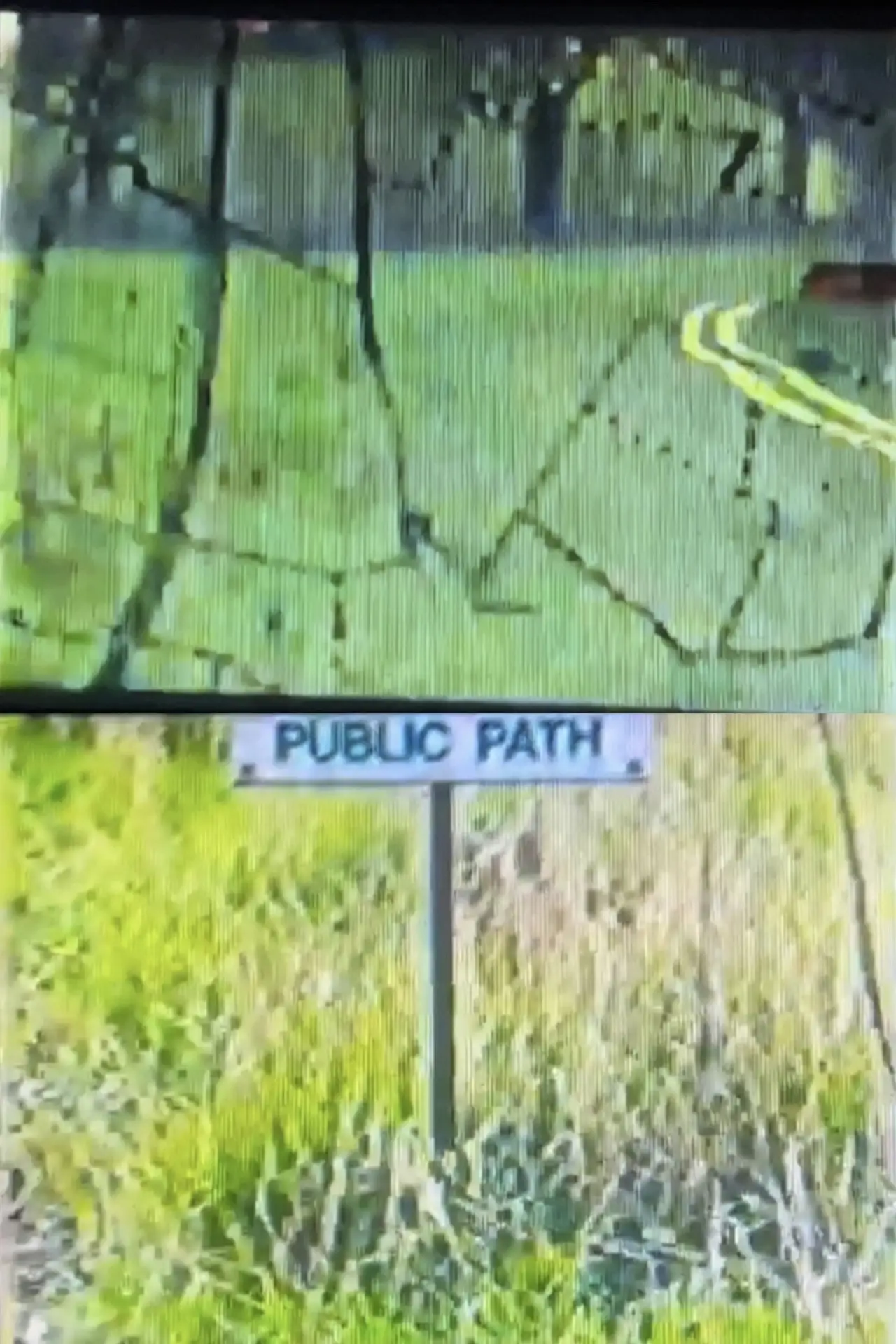 Постер к фильму "Promenade and Green"