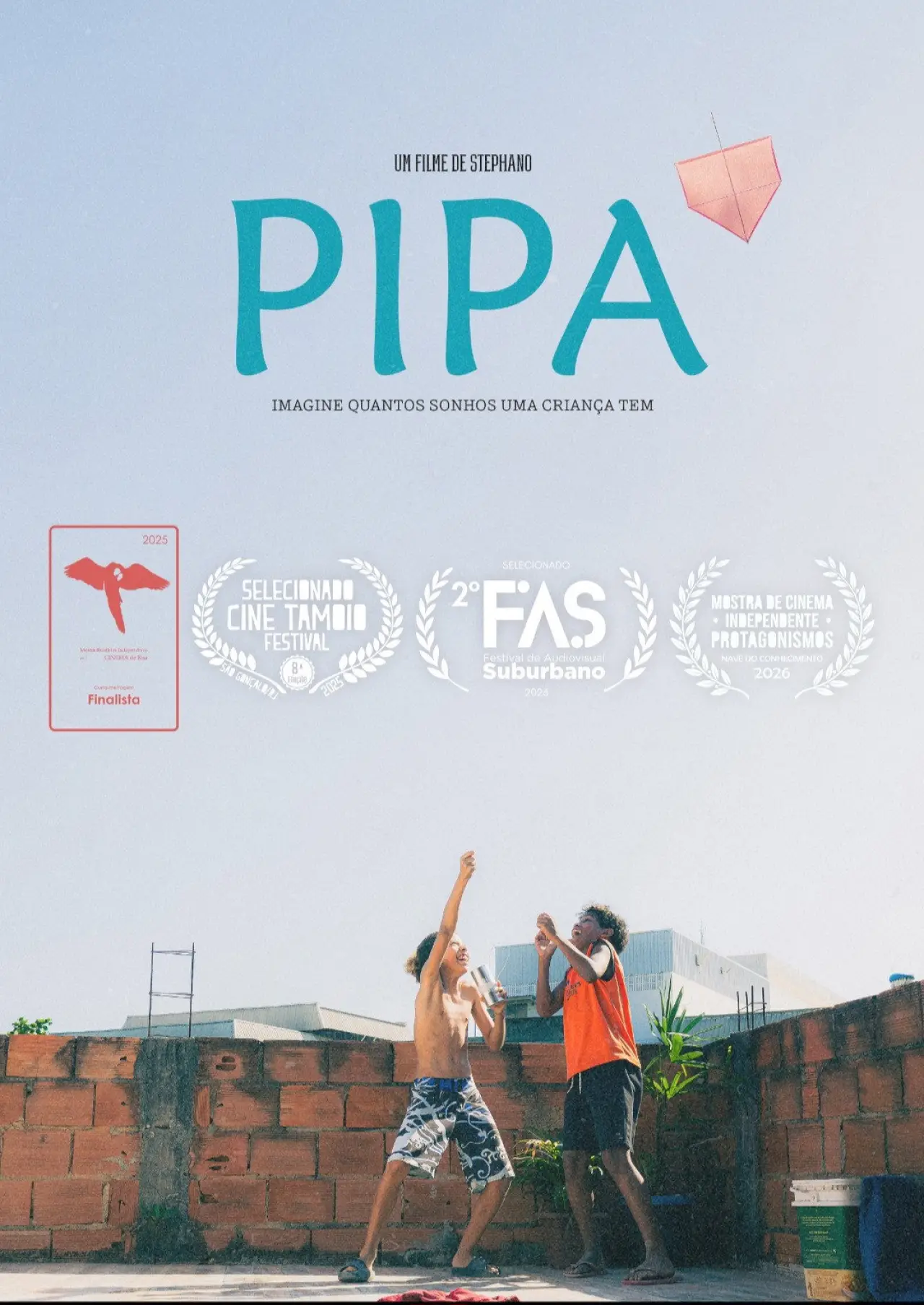 Постер к фильму "PIPA"