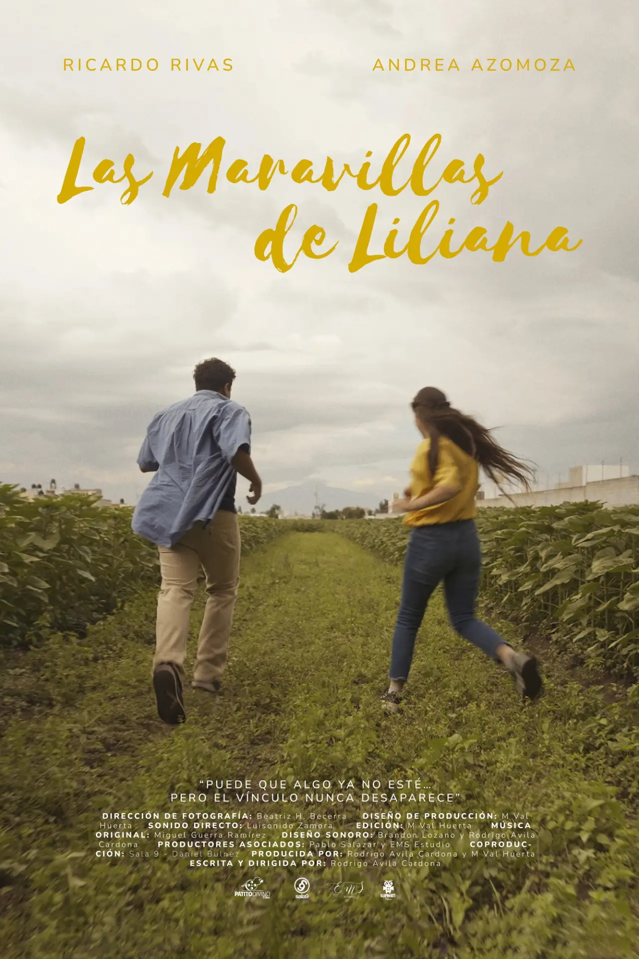 Постер к фильму "Las Maravillas de Liliana"