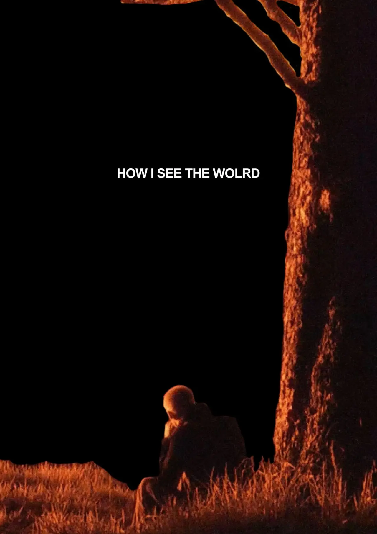 Постер к фильму "How I See The World"