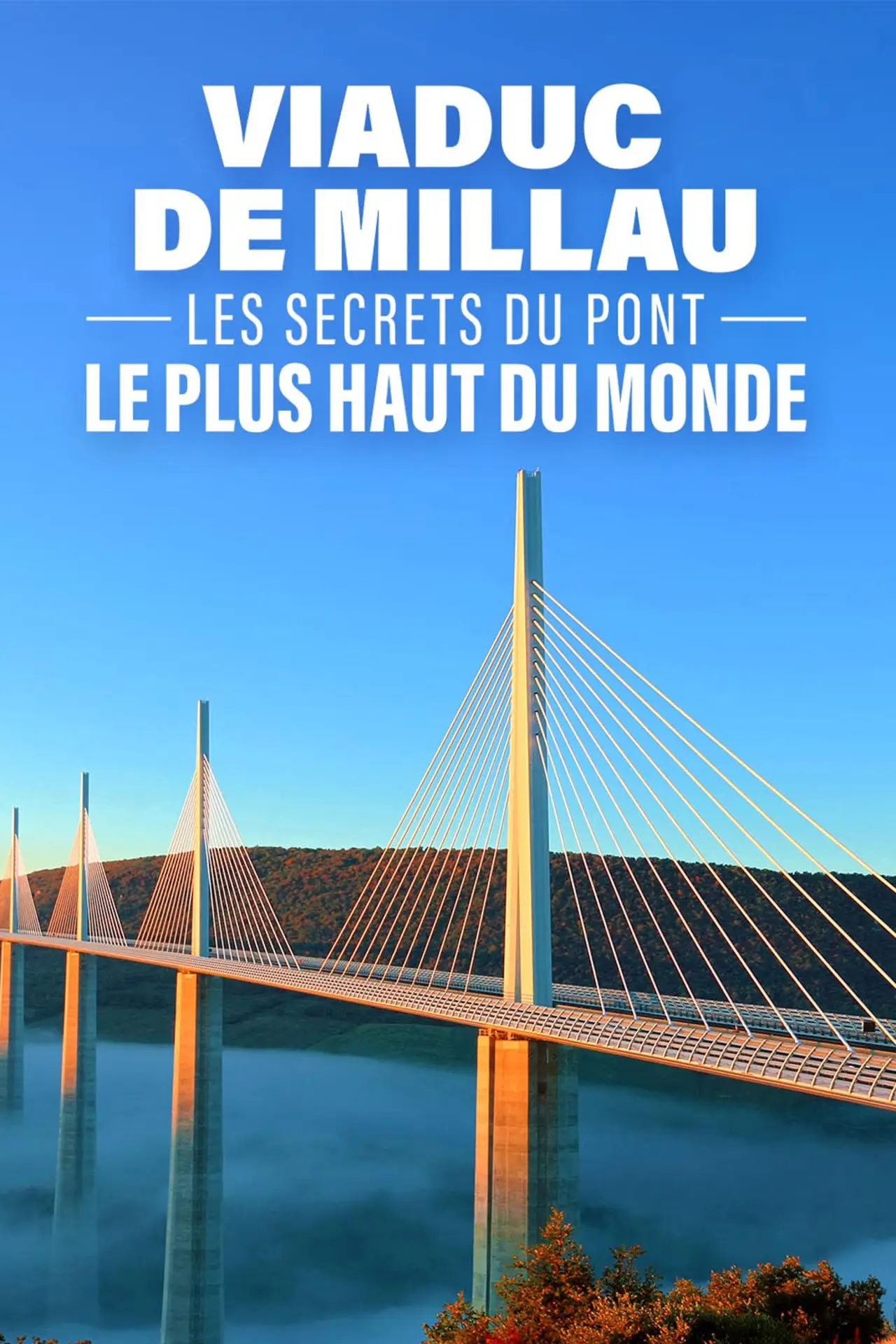 Постер к фильму "Viaduc de Millau les secrets du pont le plus haut du monde"