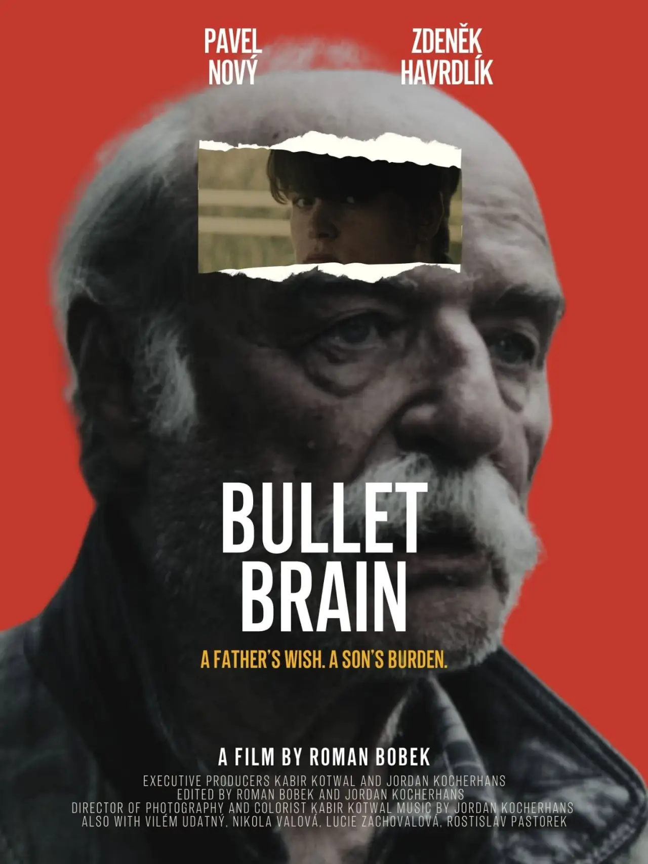 Постер к фильму "Bullet Brain"