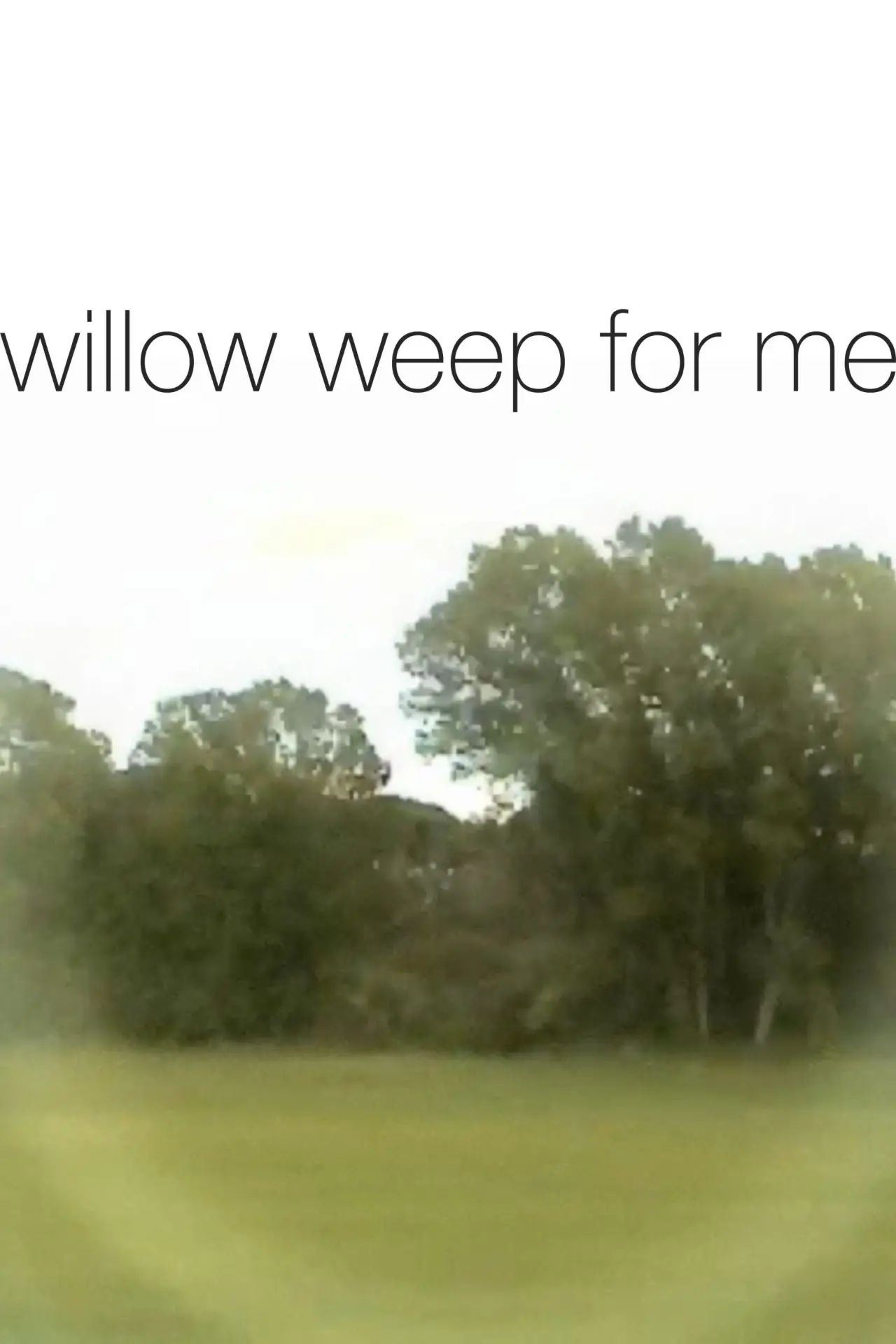 Постер к фильму "willow weep for me"