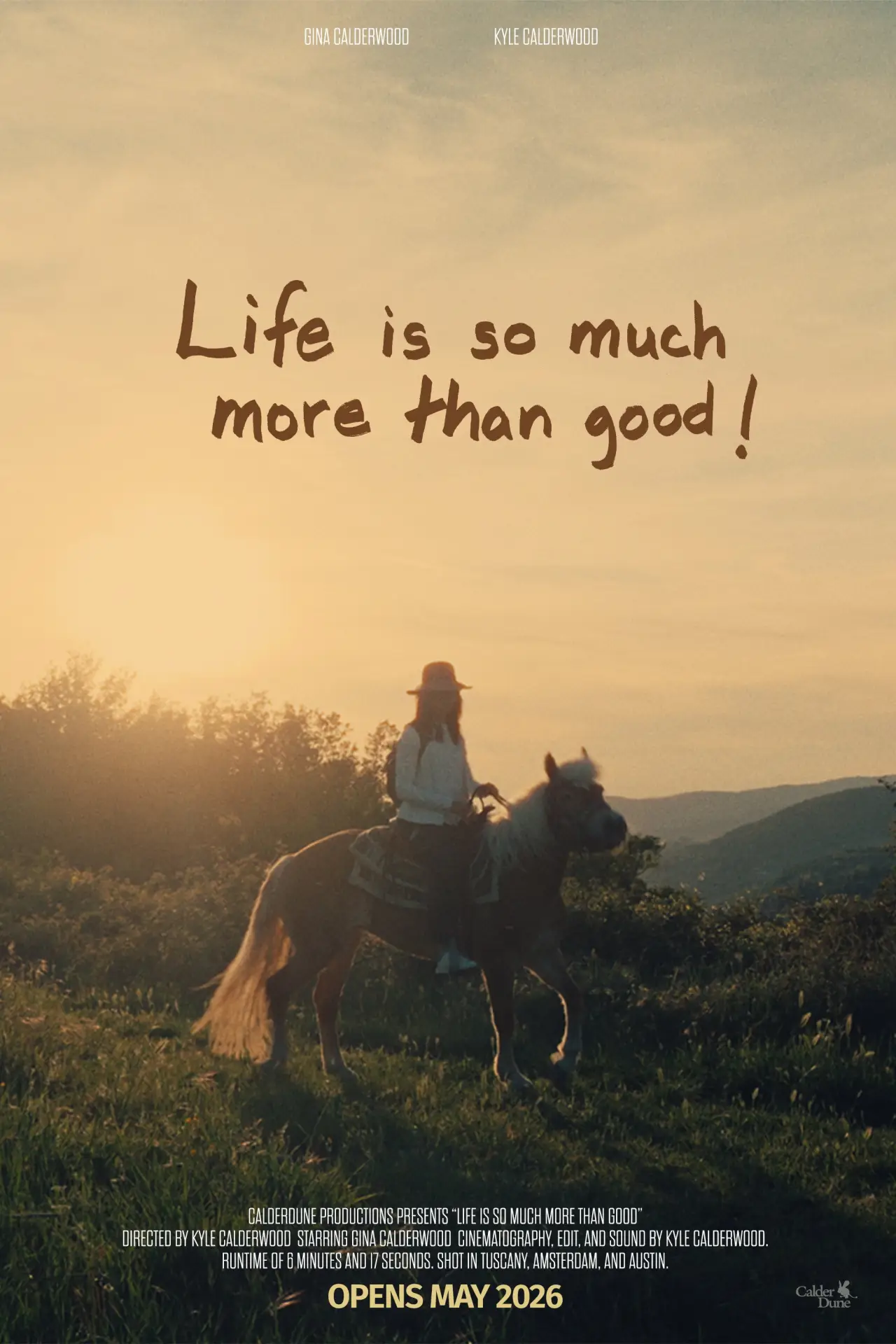 Постер к фильму "Life is so much more than good!"