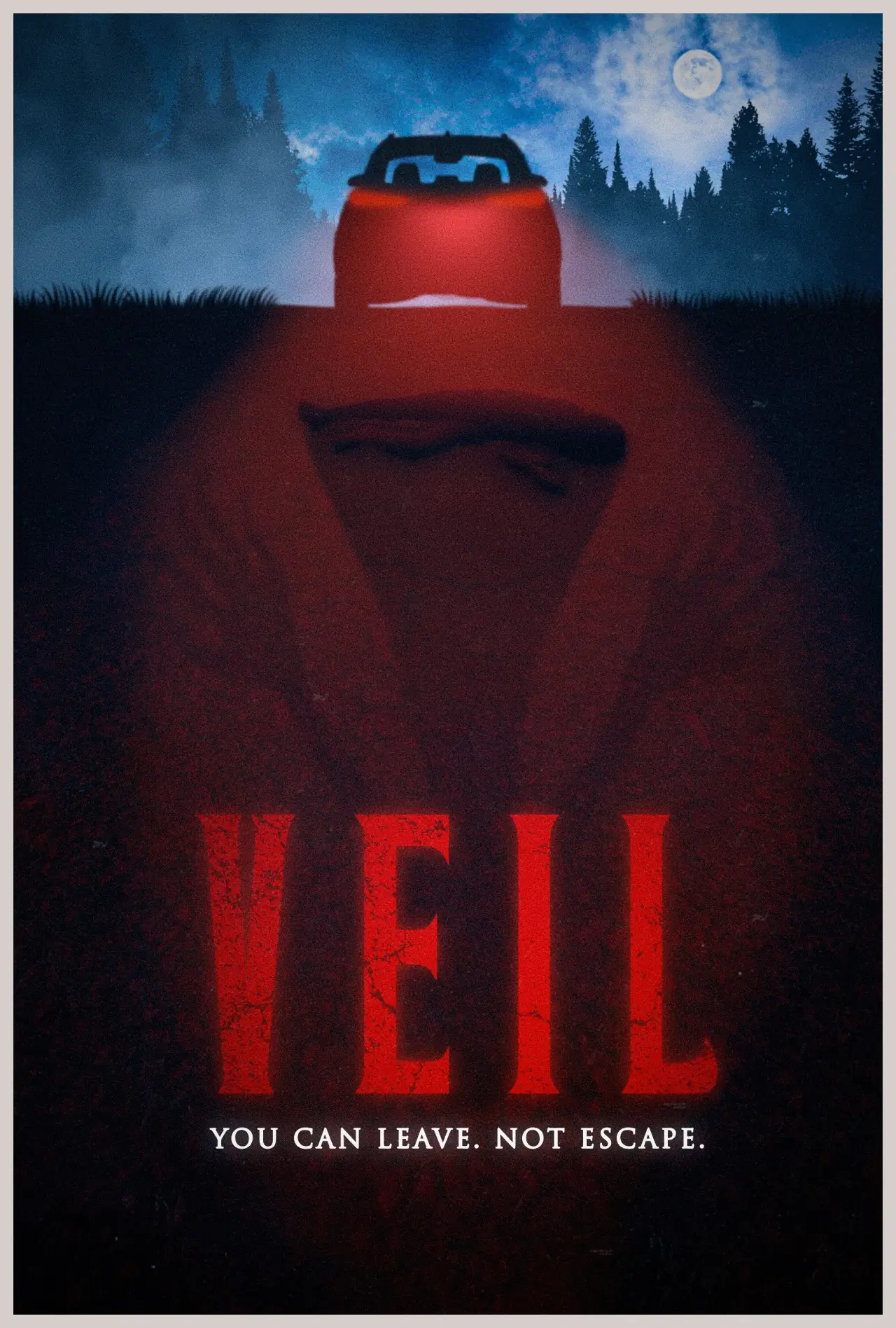 Постер к фильму "VEIL"