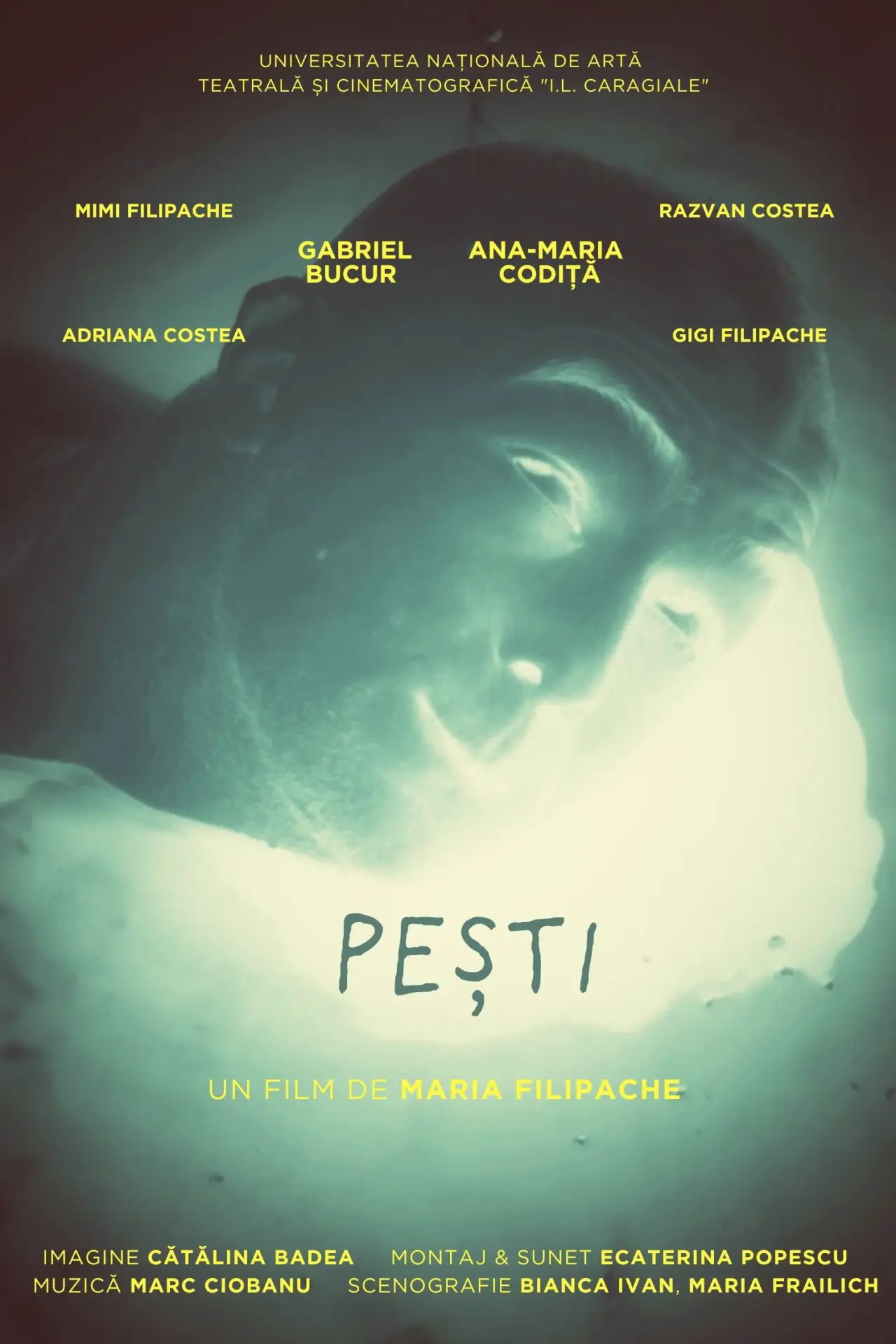 Постер к фильму "Pești"