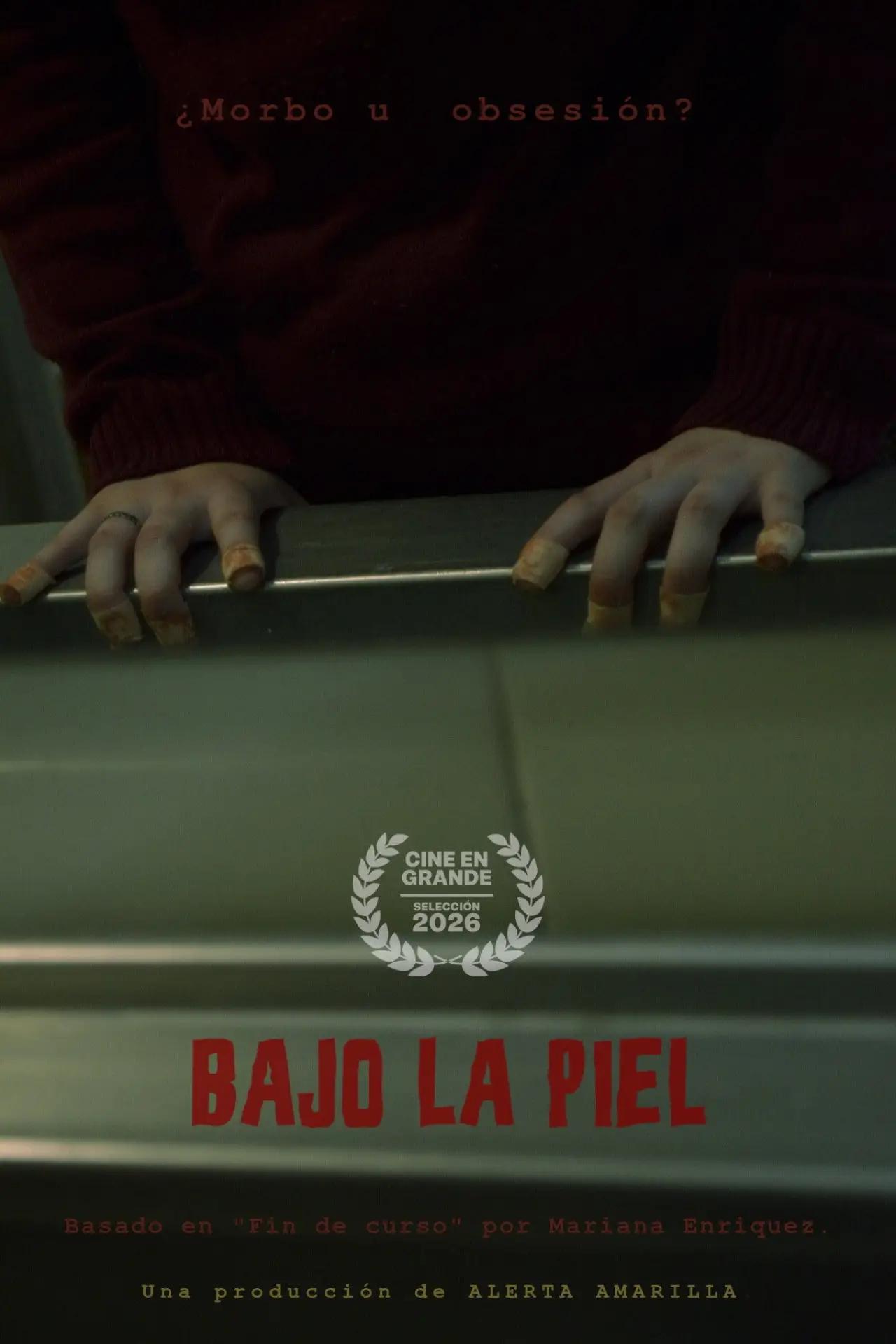 Постер к фильму "Bajo la piel"