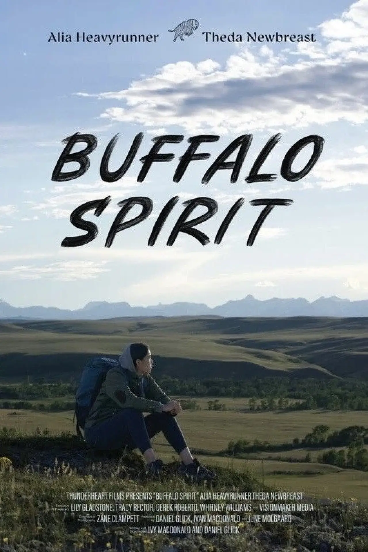 Постер к фильму "Buffalo Spirit"