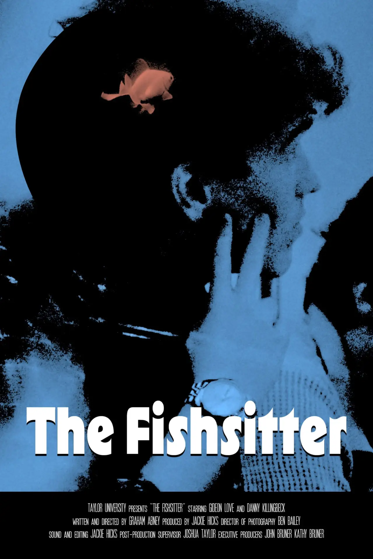 Постер к фильму "The Fishsitter"