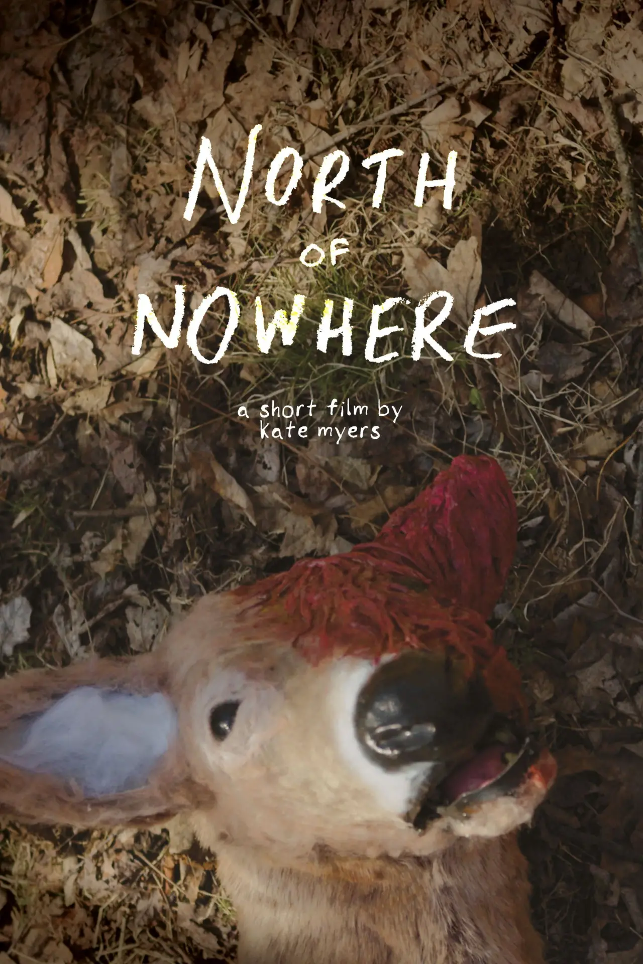 Постер к фильму "North of Nowhere"