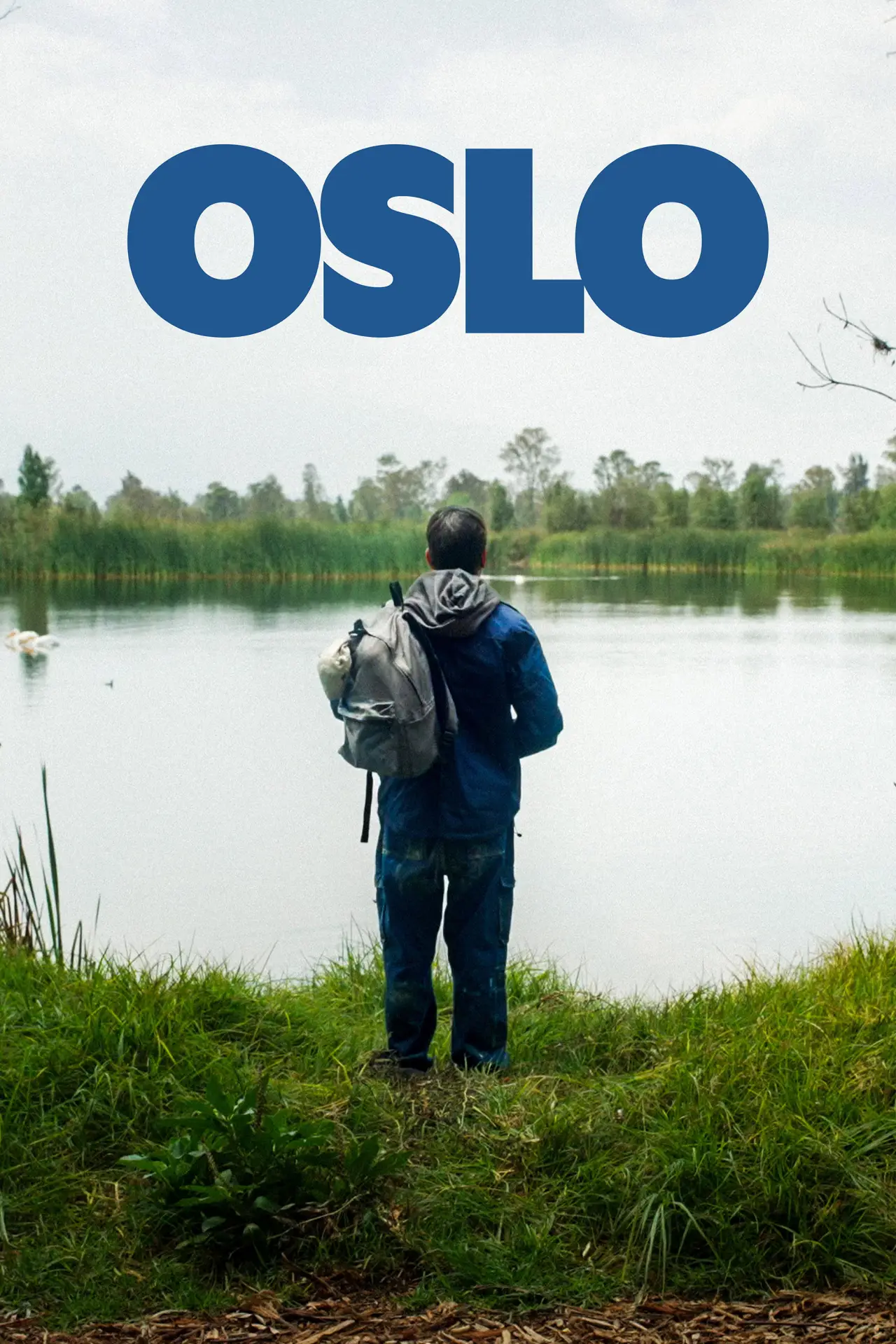 Постер к фильму "Oslo"