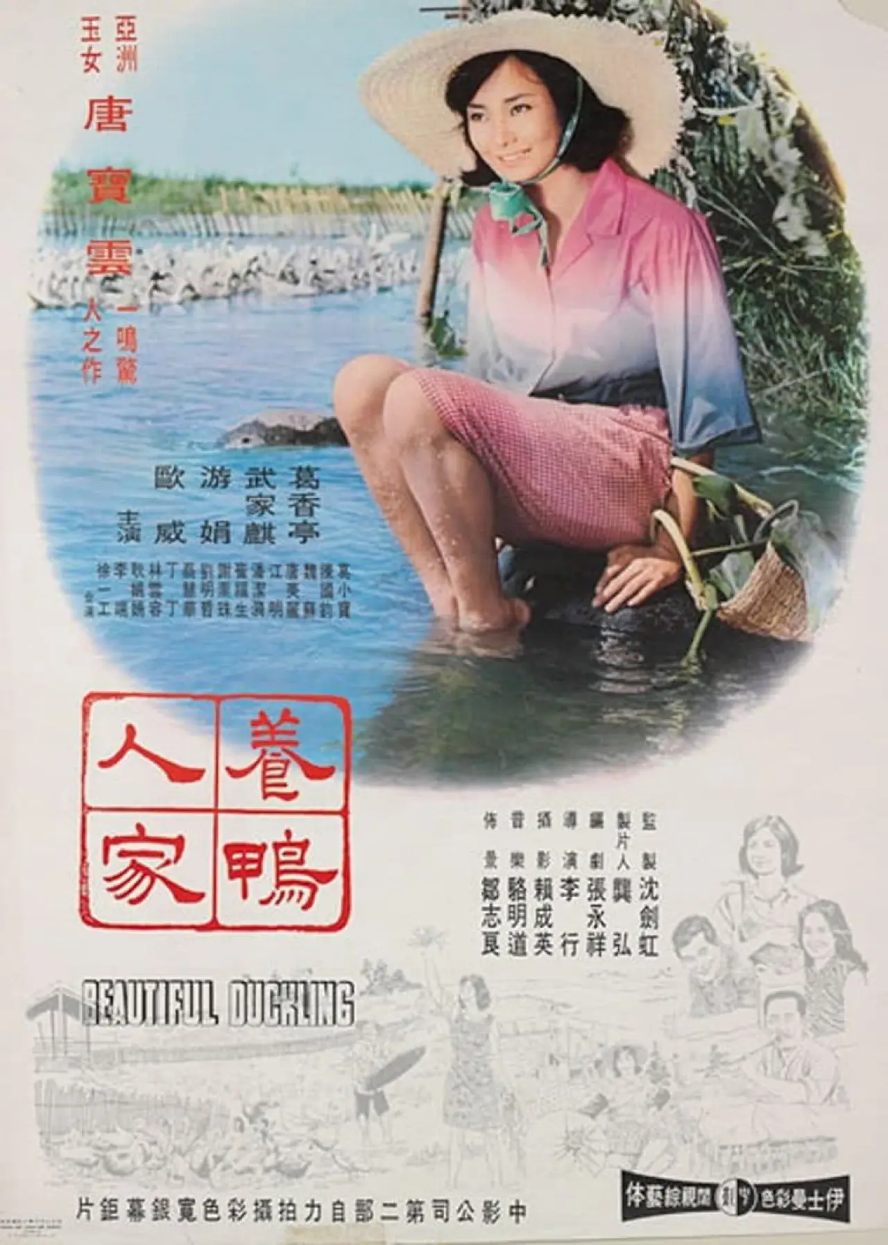 Постер к фильму "養鴨人家"