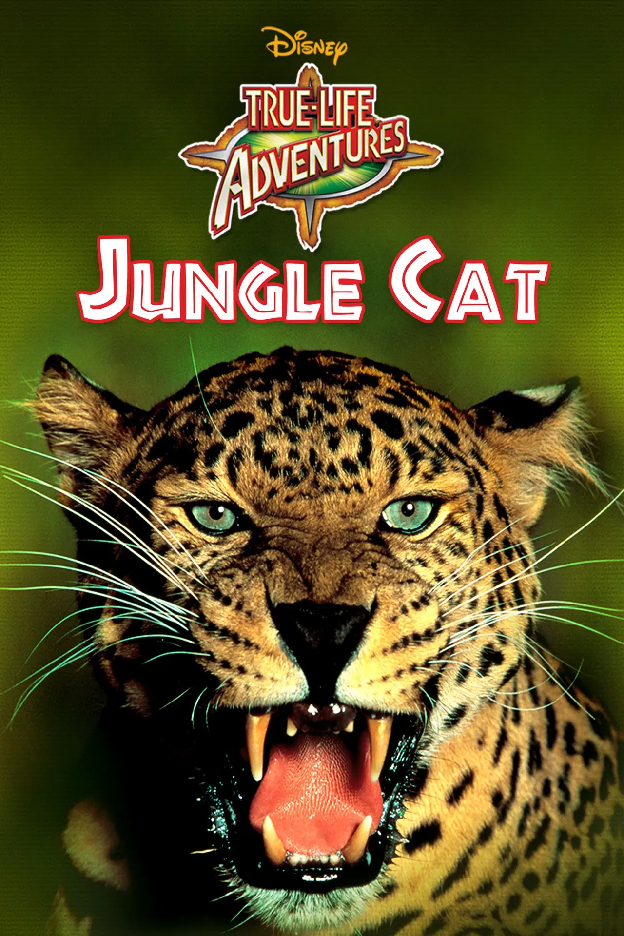 Постер к фильму "Jungle Cat"