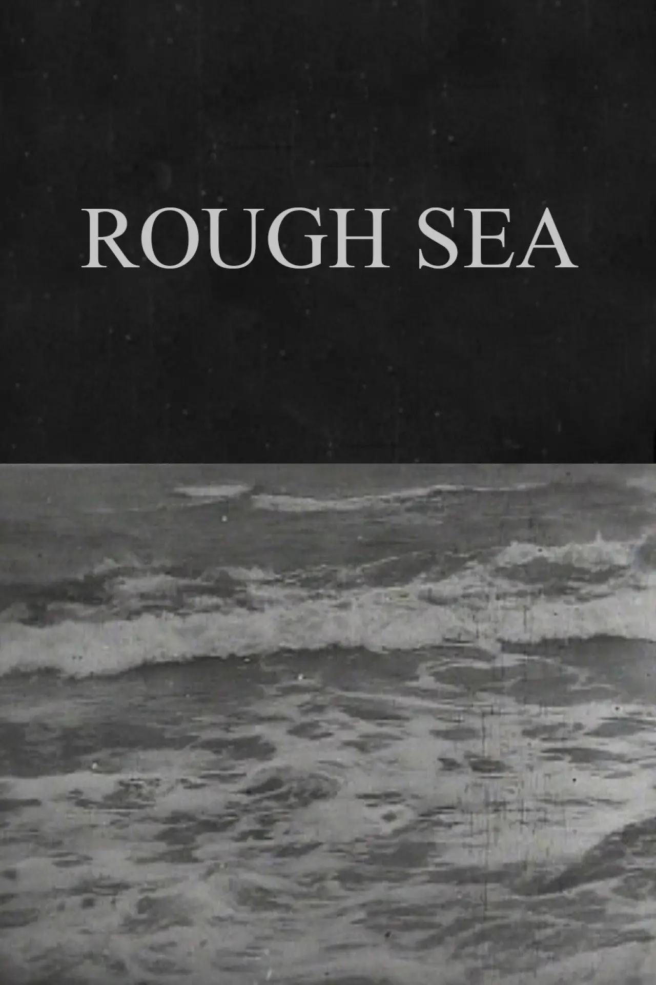 Постер к фильму "Rough Sea"