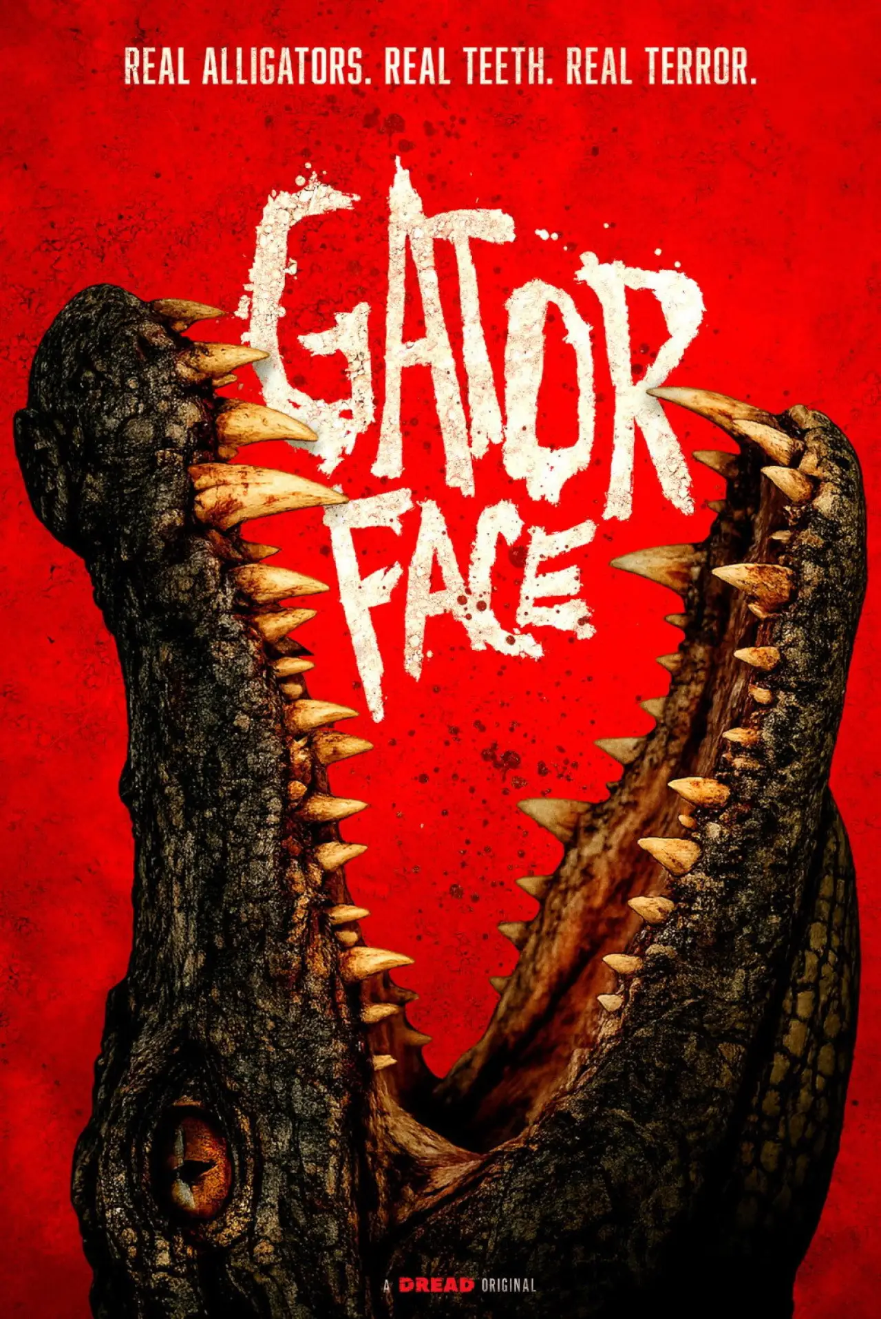 Постер к фильму "Gator Face"