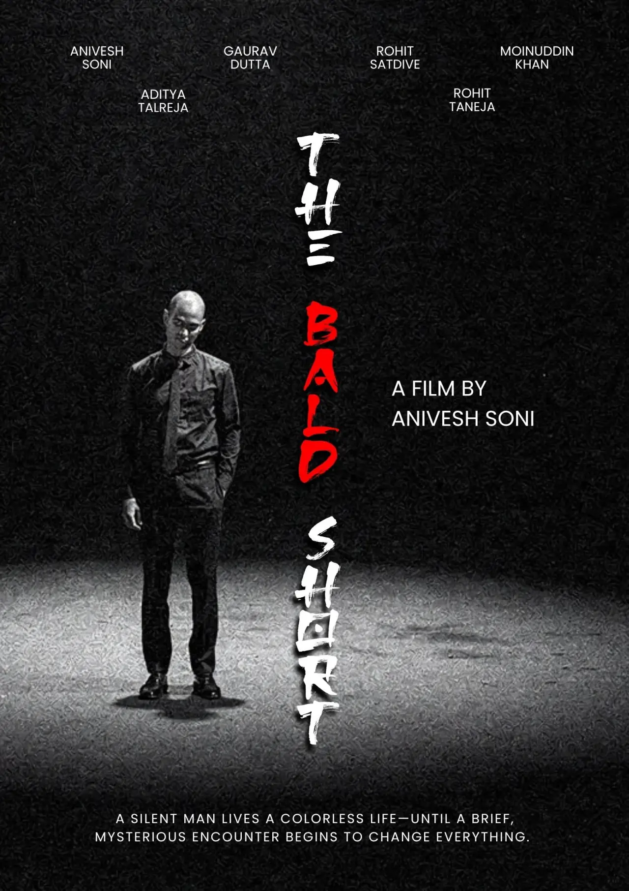 Постер к фильму "The Bald Short"