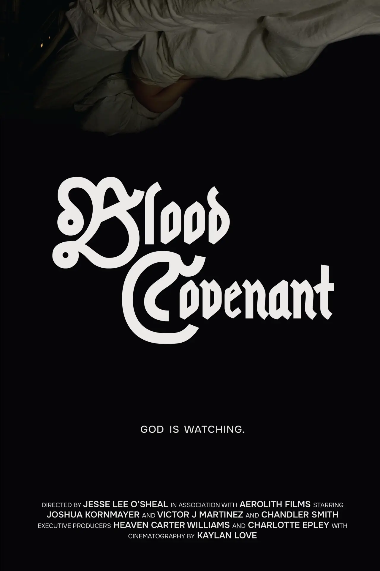 Постер к фильму "Blood Covenant"