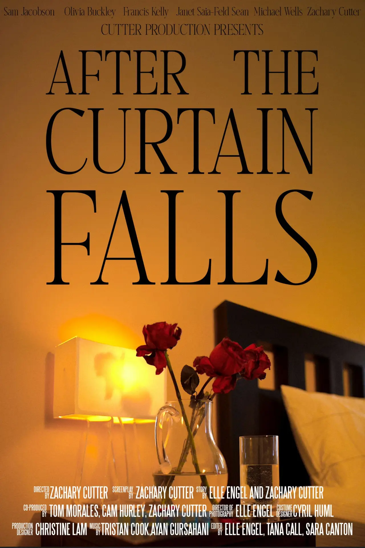 Постер к фильму "After the Curtain Falls"