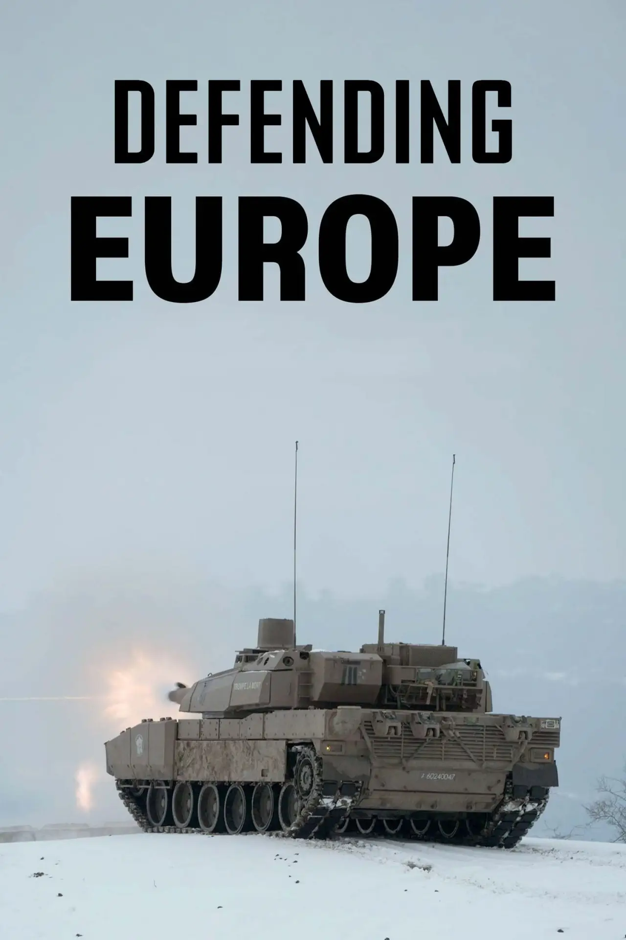 Постер к фильму "Europe, le choix des armes"