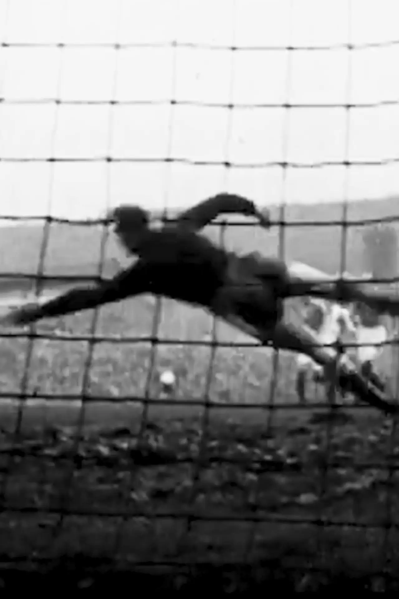 Постер к фильму "Il mio pallone / la mia vita"