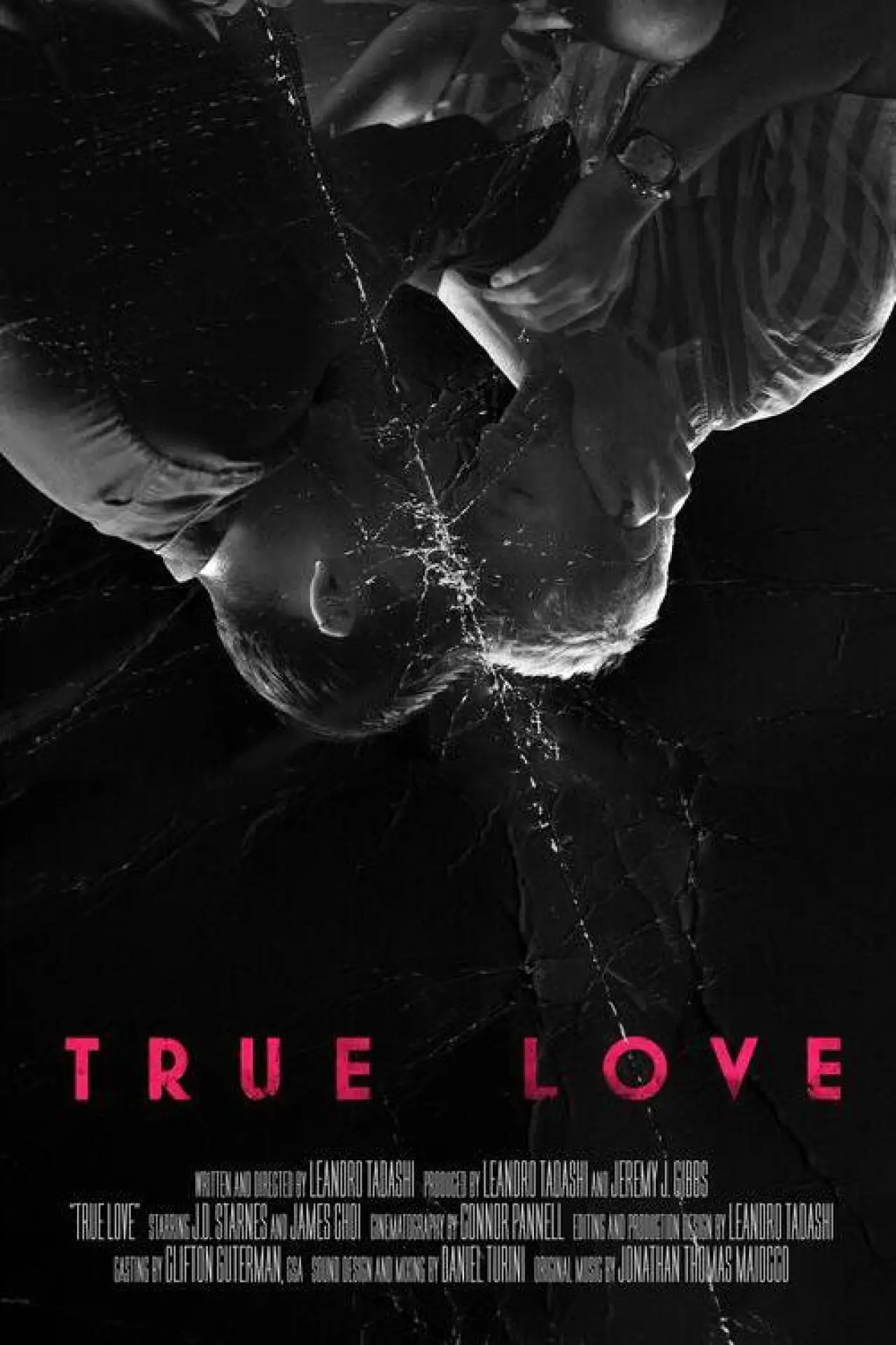 Постер к фильму "True Love"