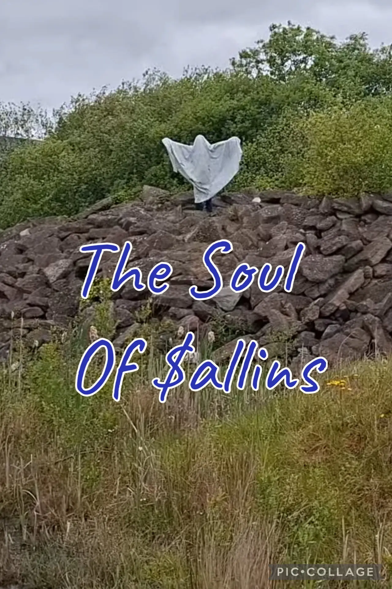 Постер к фильму "The Soul Of Sallins"