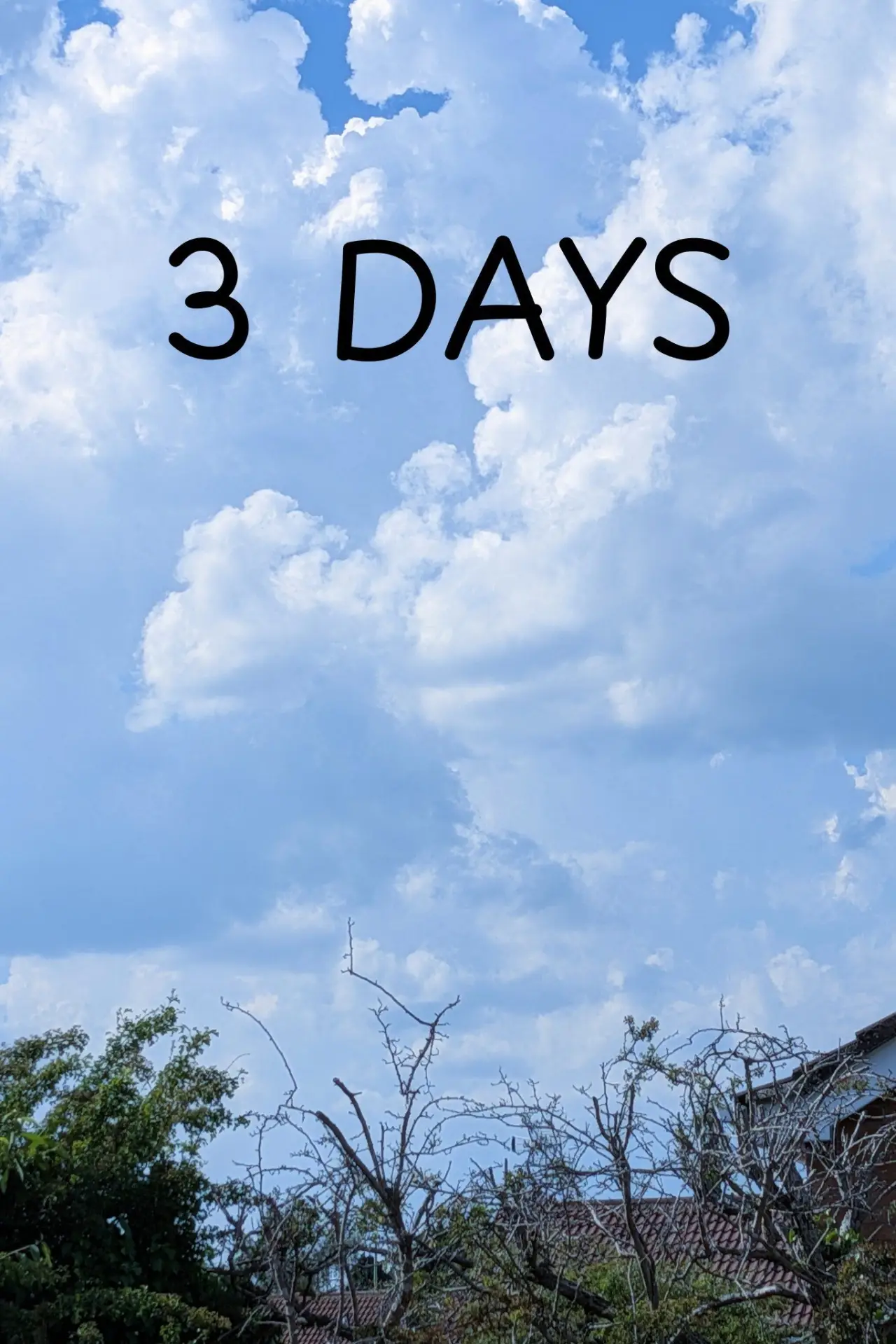 Постер к фильму "3 DAYS"