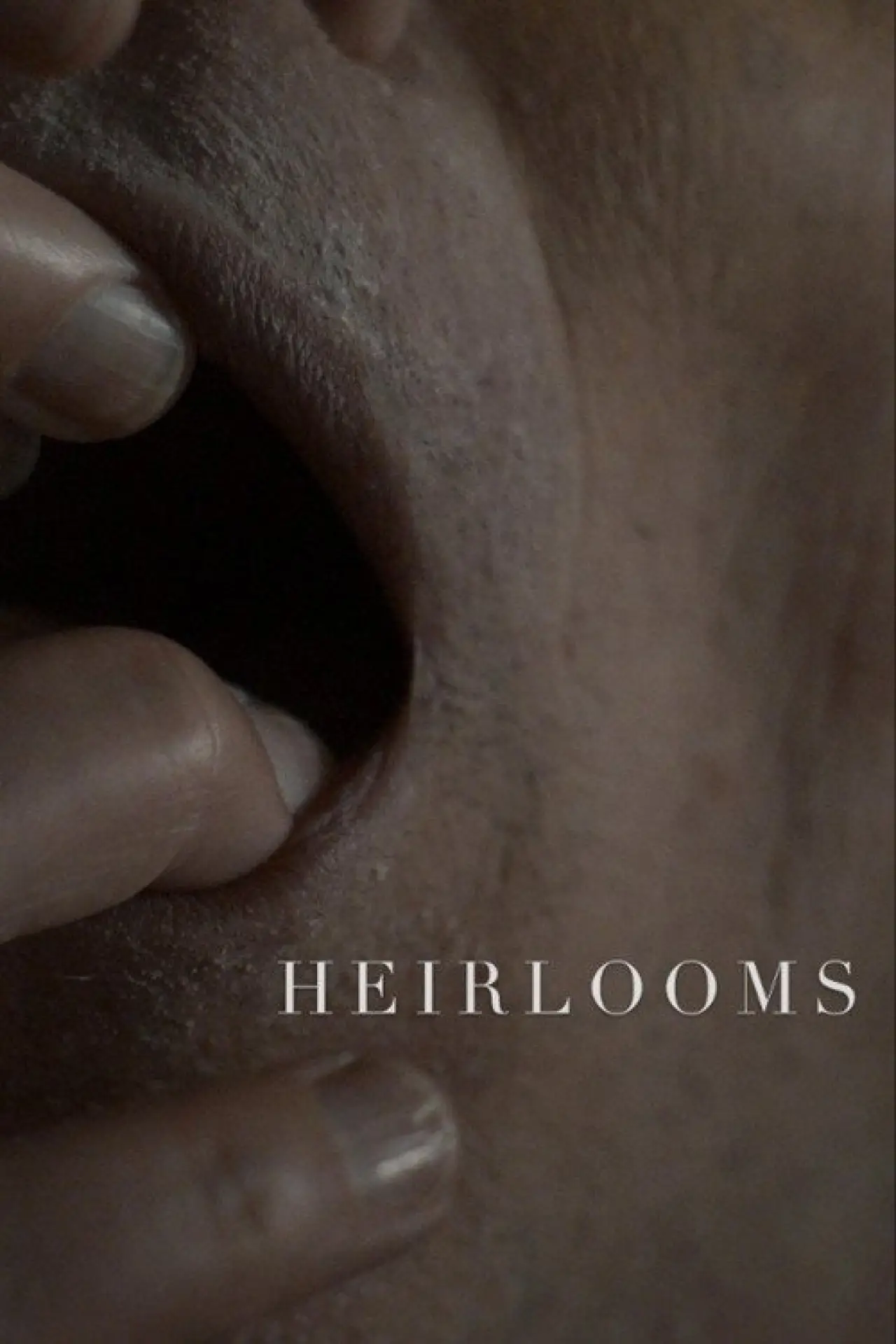 Постер к фильму "Heirlooms"