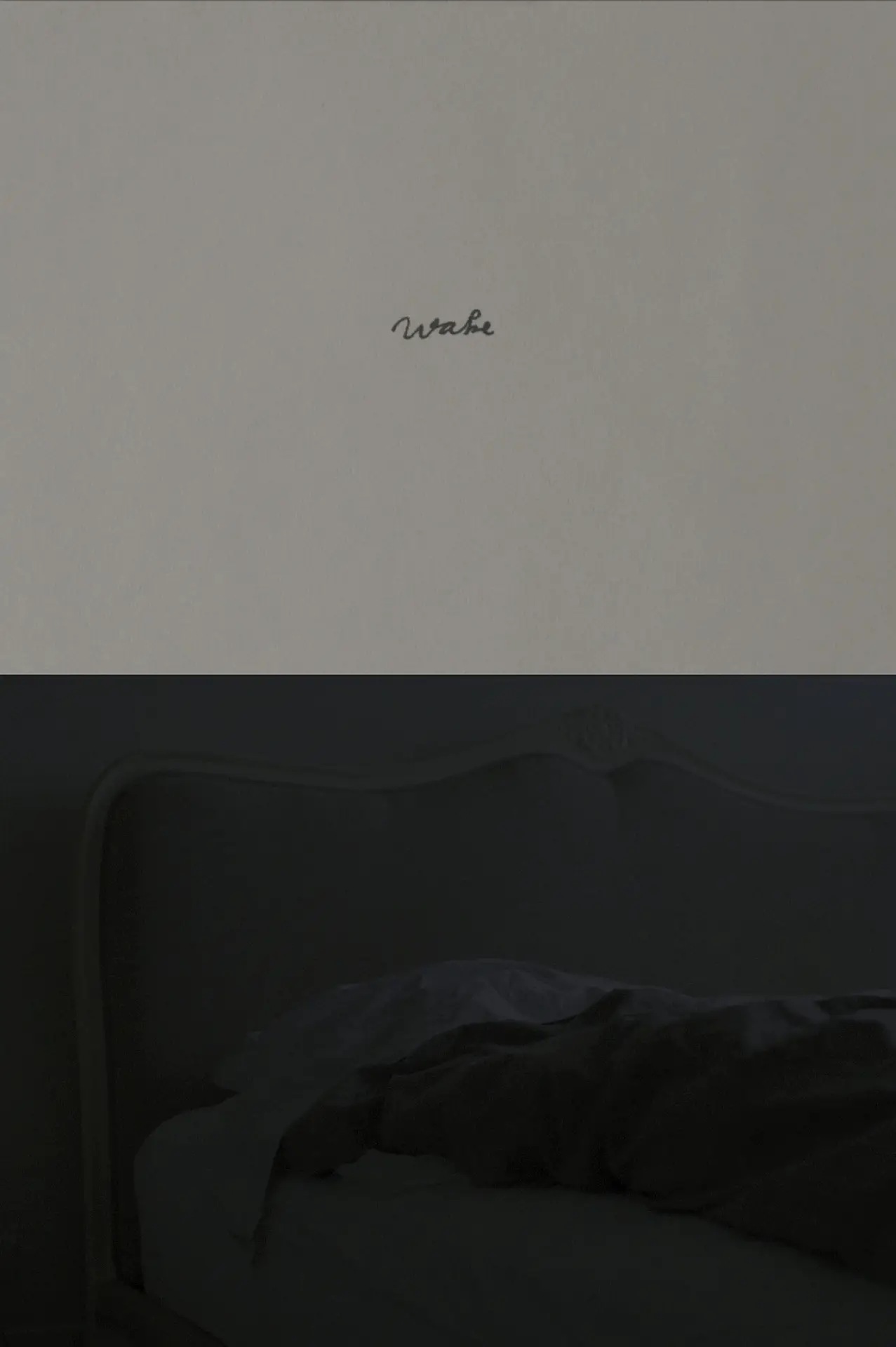 Постер к фильму "Wake"