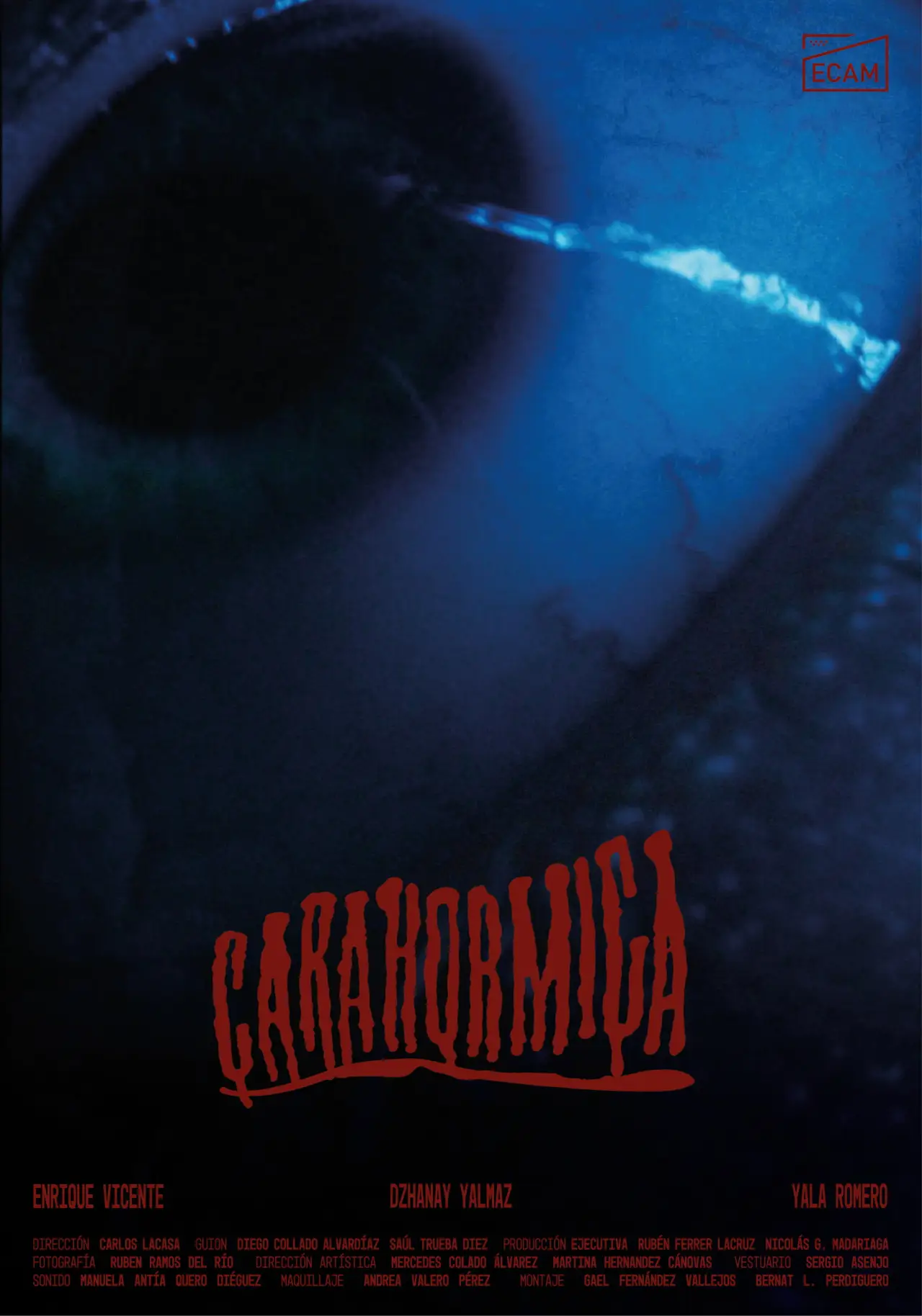 Постер к фильму "Carahormiga"